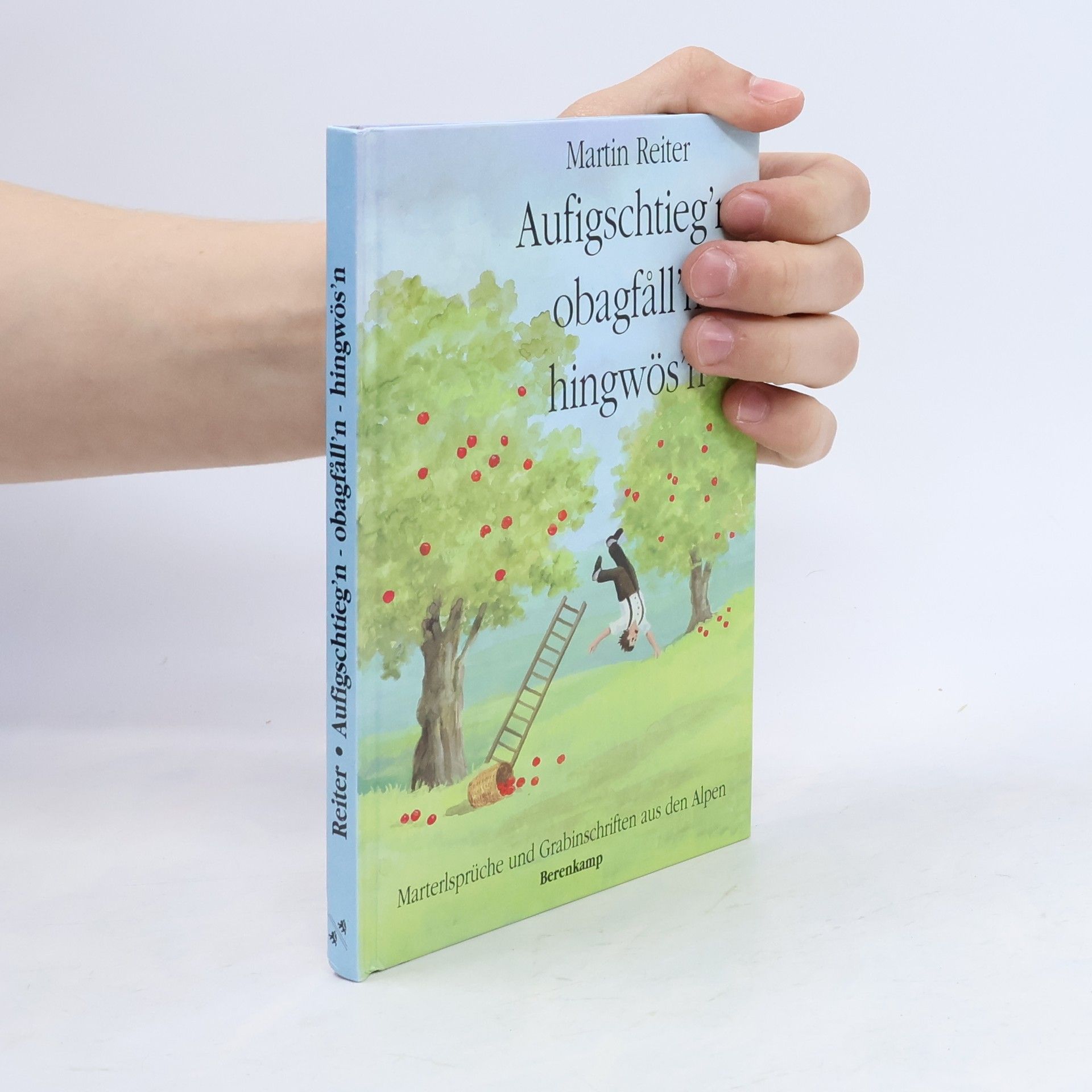 Martin Reiter Aufigschtieg'n, obagf°all'n, hingwös'n