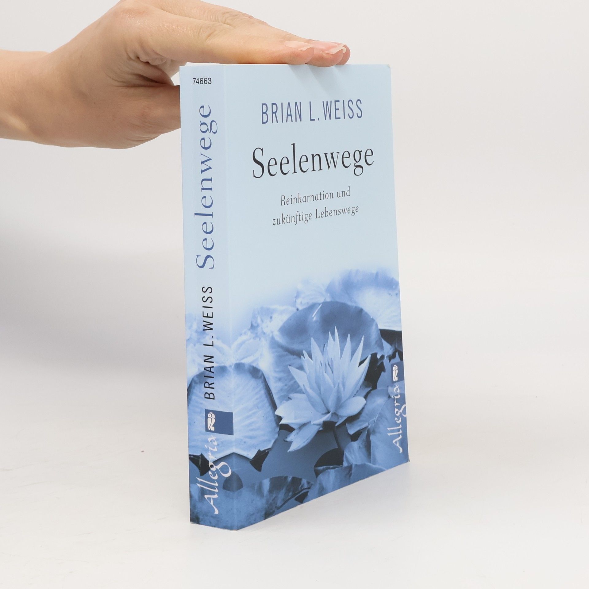 Brian Weiss Seelenwege