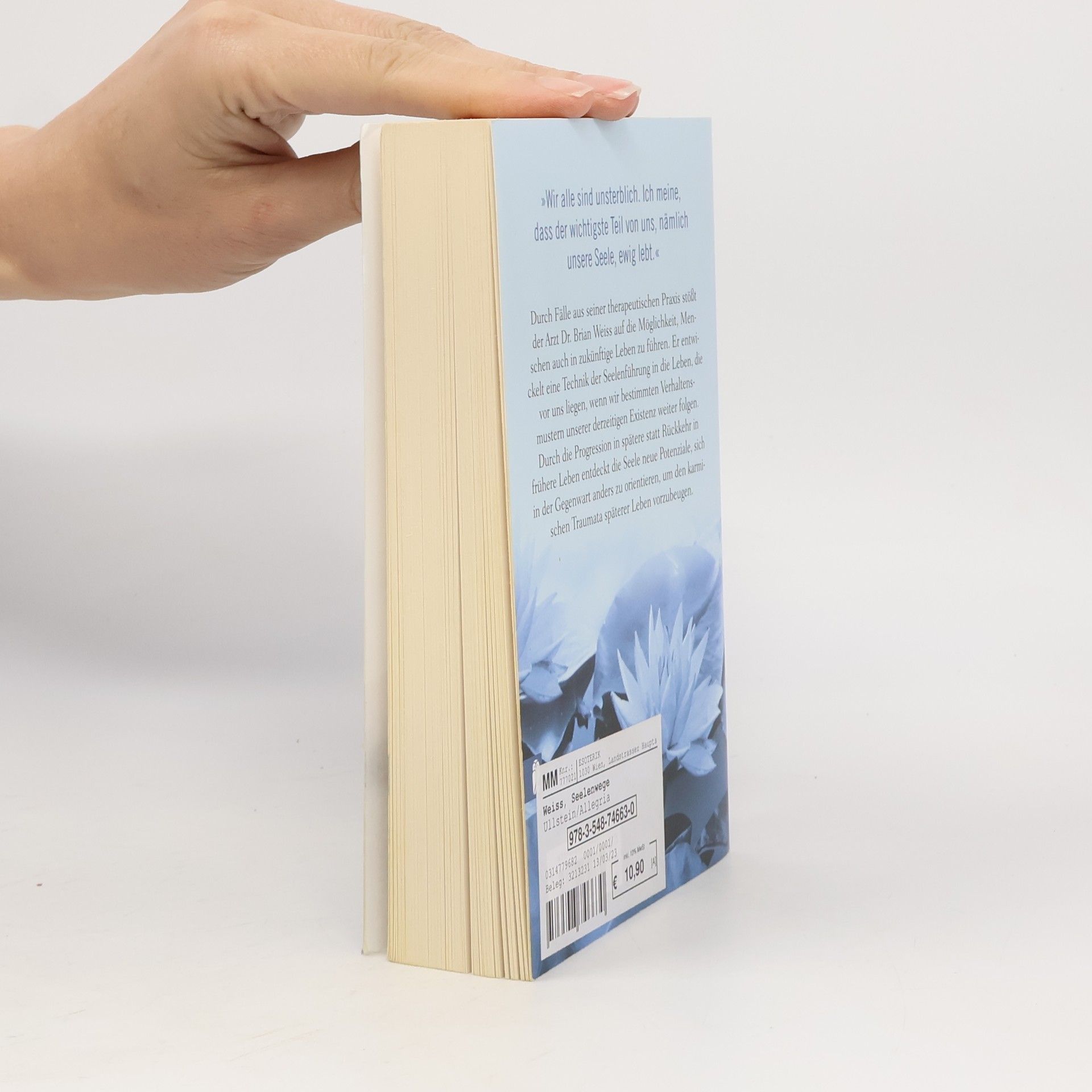 Brian Weiss Seelenwege