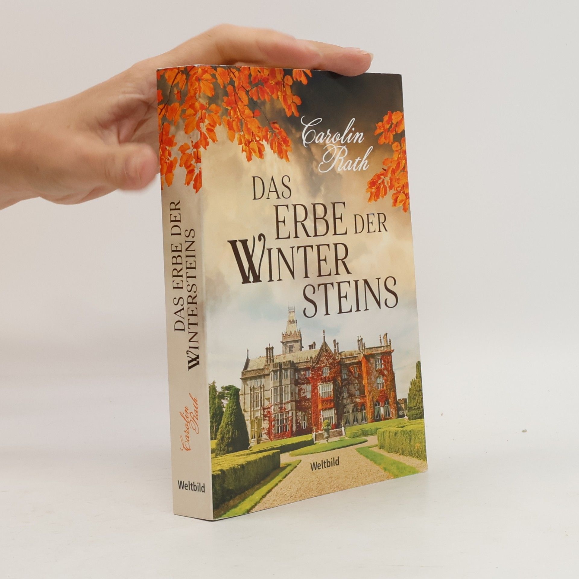 Carolin Rath Das Erbe der Wintersteins