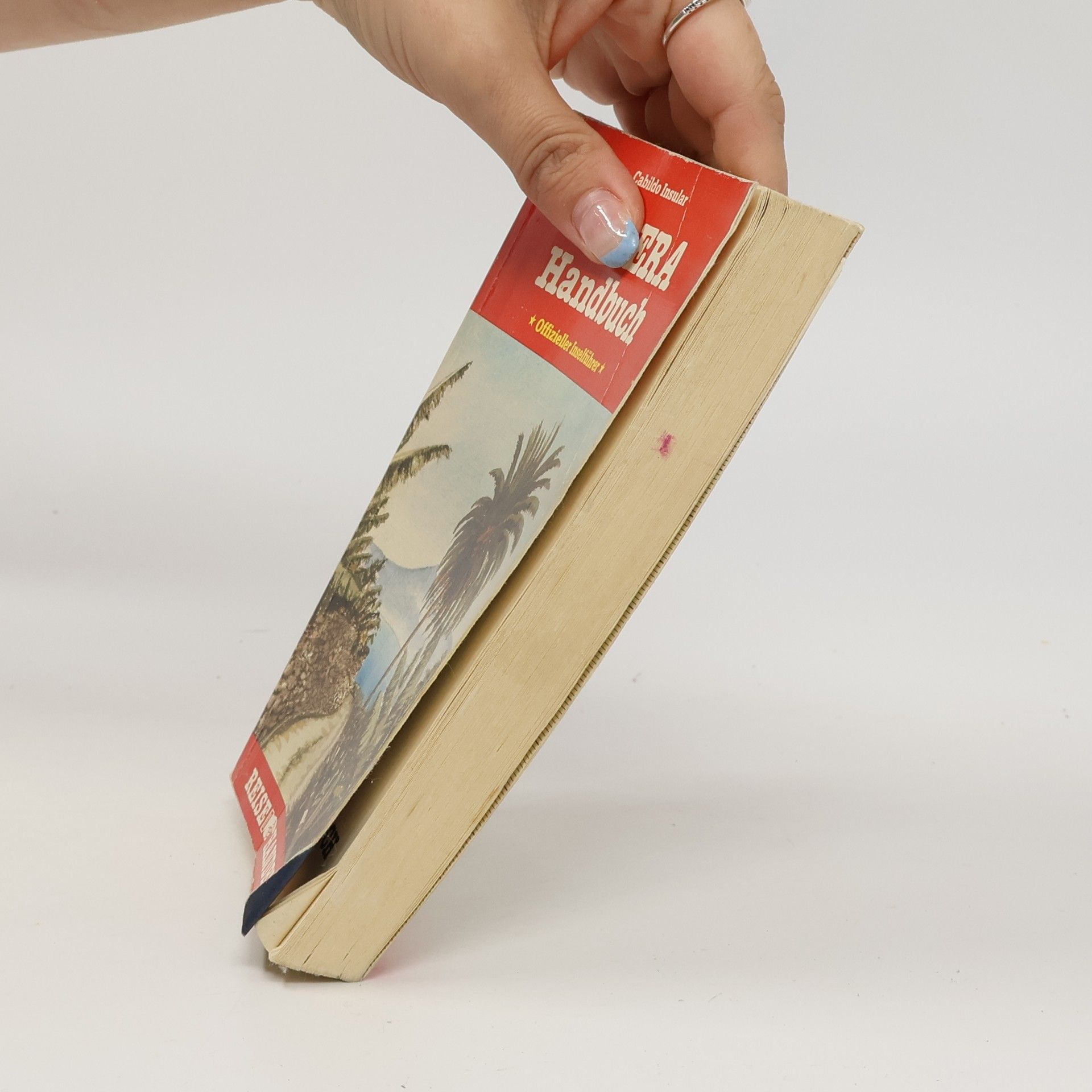 Autorenkollektiv Gomera-Handbuch