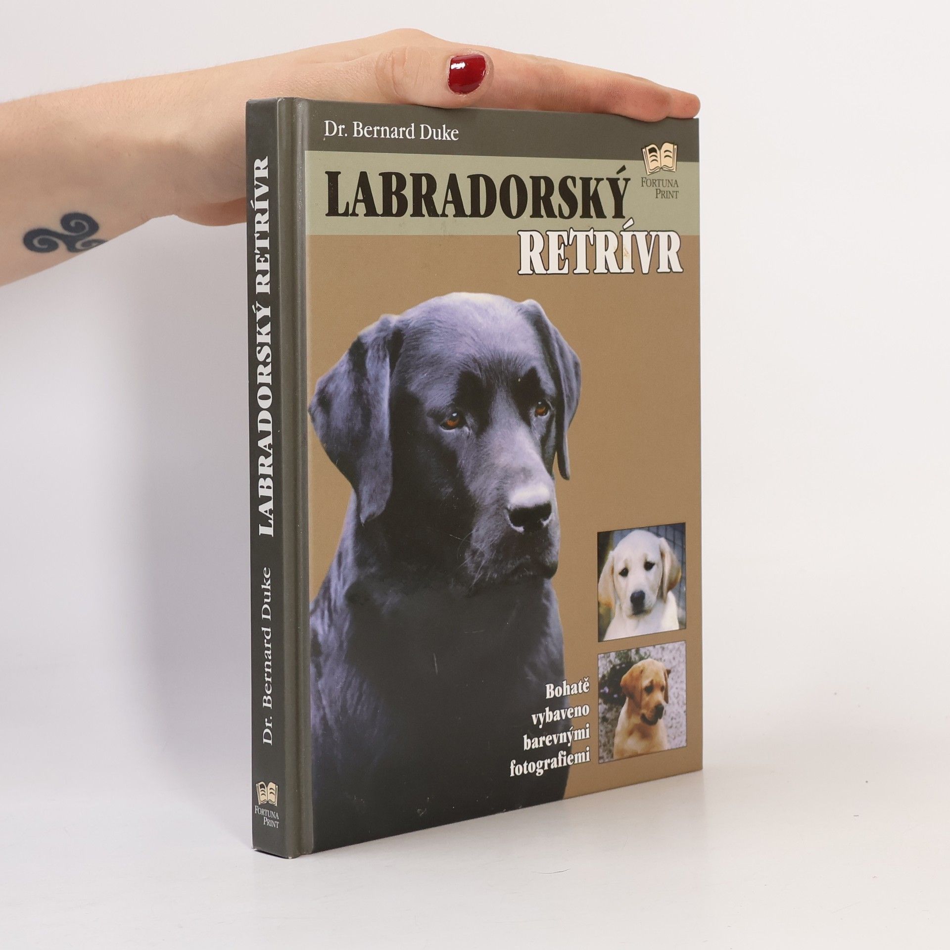 Bernard Duke Labradorský retrívr