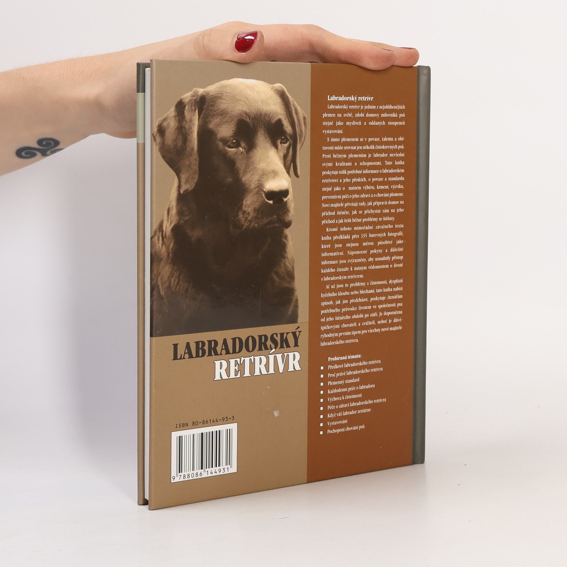 Bernard Duke Labradorský retrívr