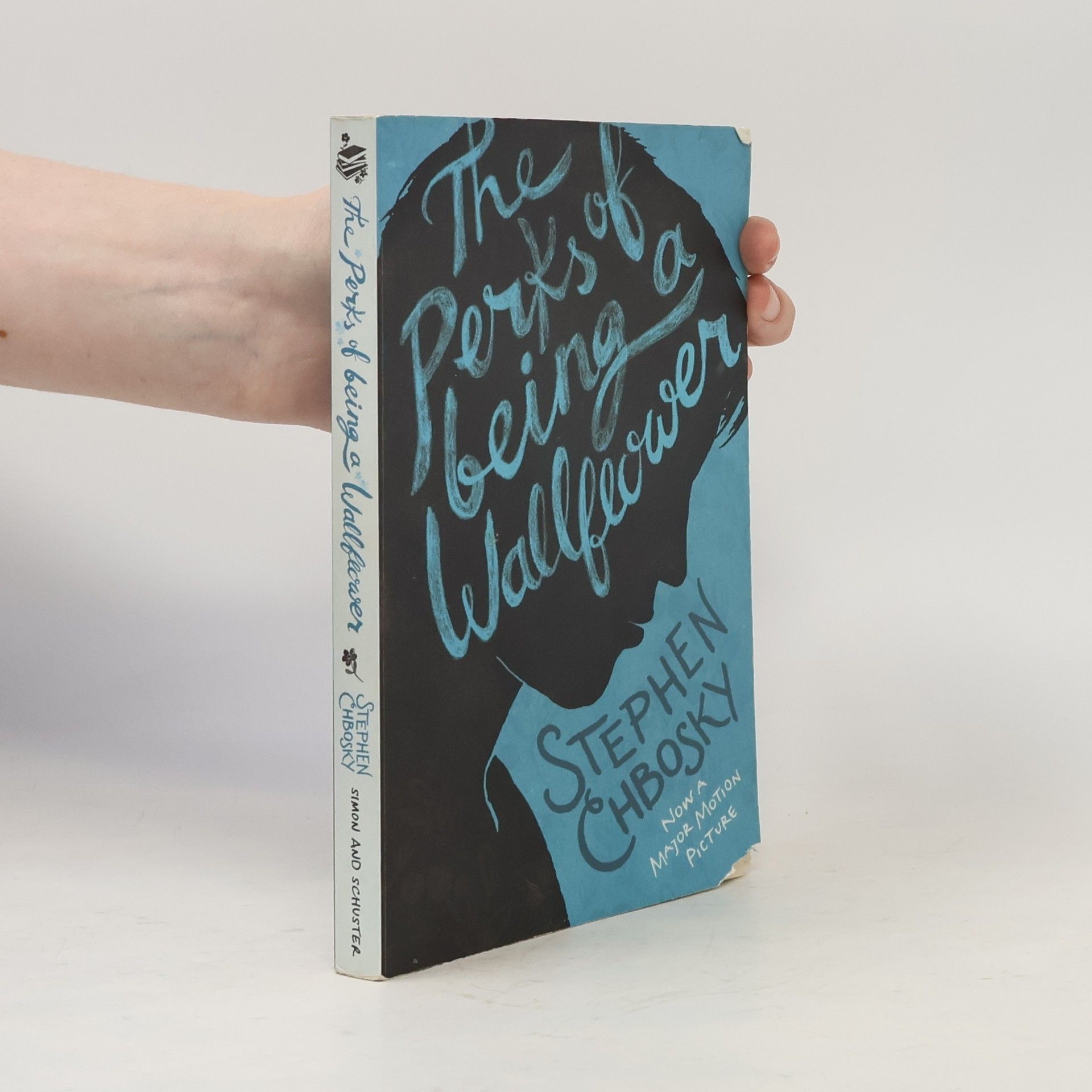 Stephen Chbosky The Perks of Being a Wallflower