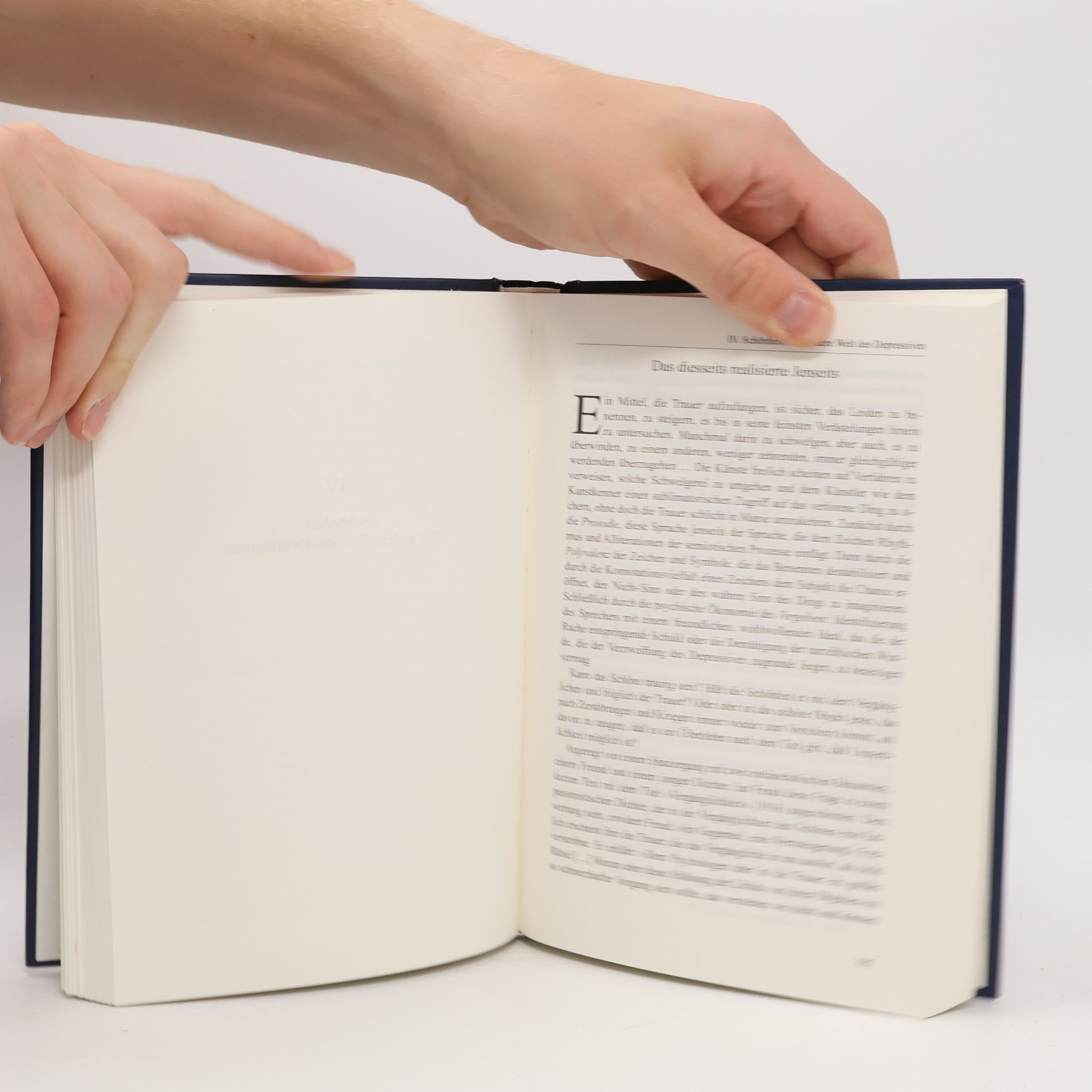 Julia Kristeva Schwarze Sonne