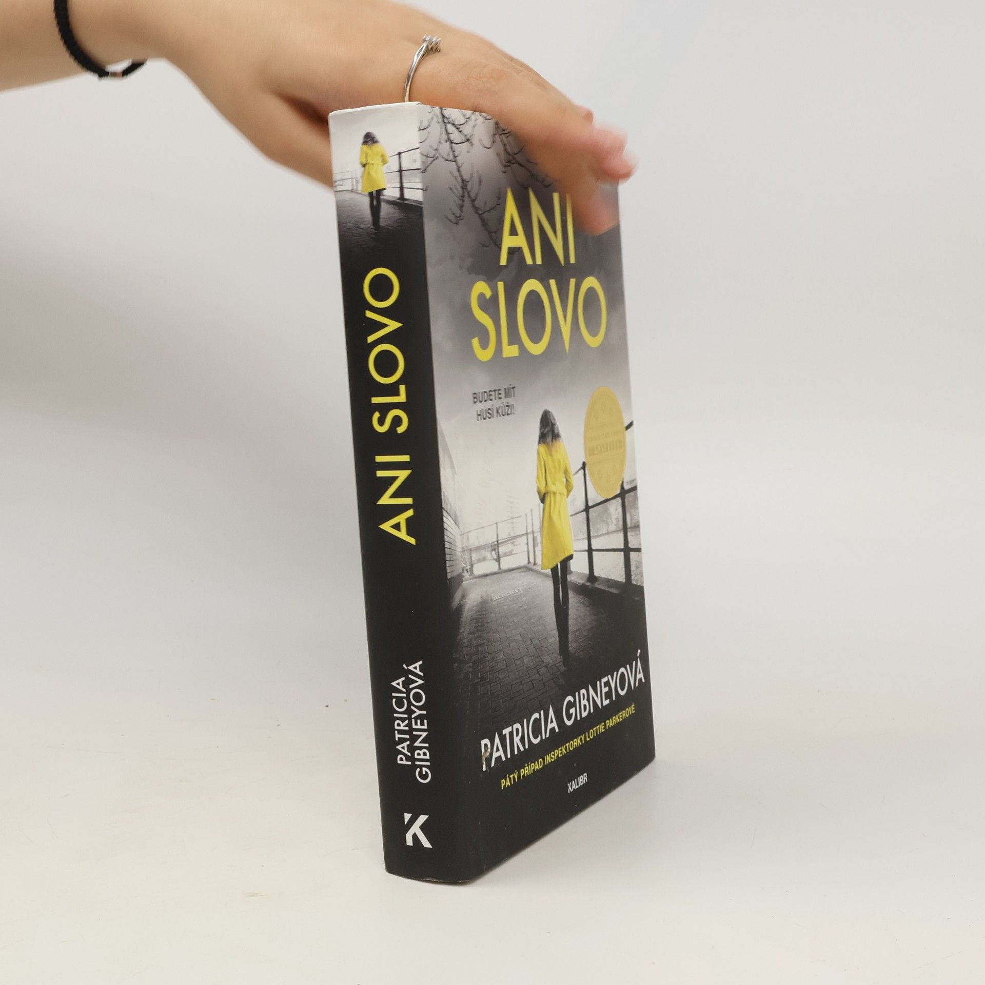 Patricia Gibney Ani slovo