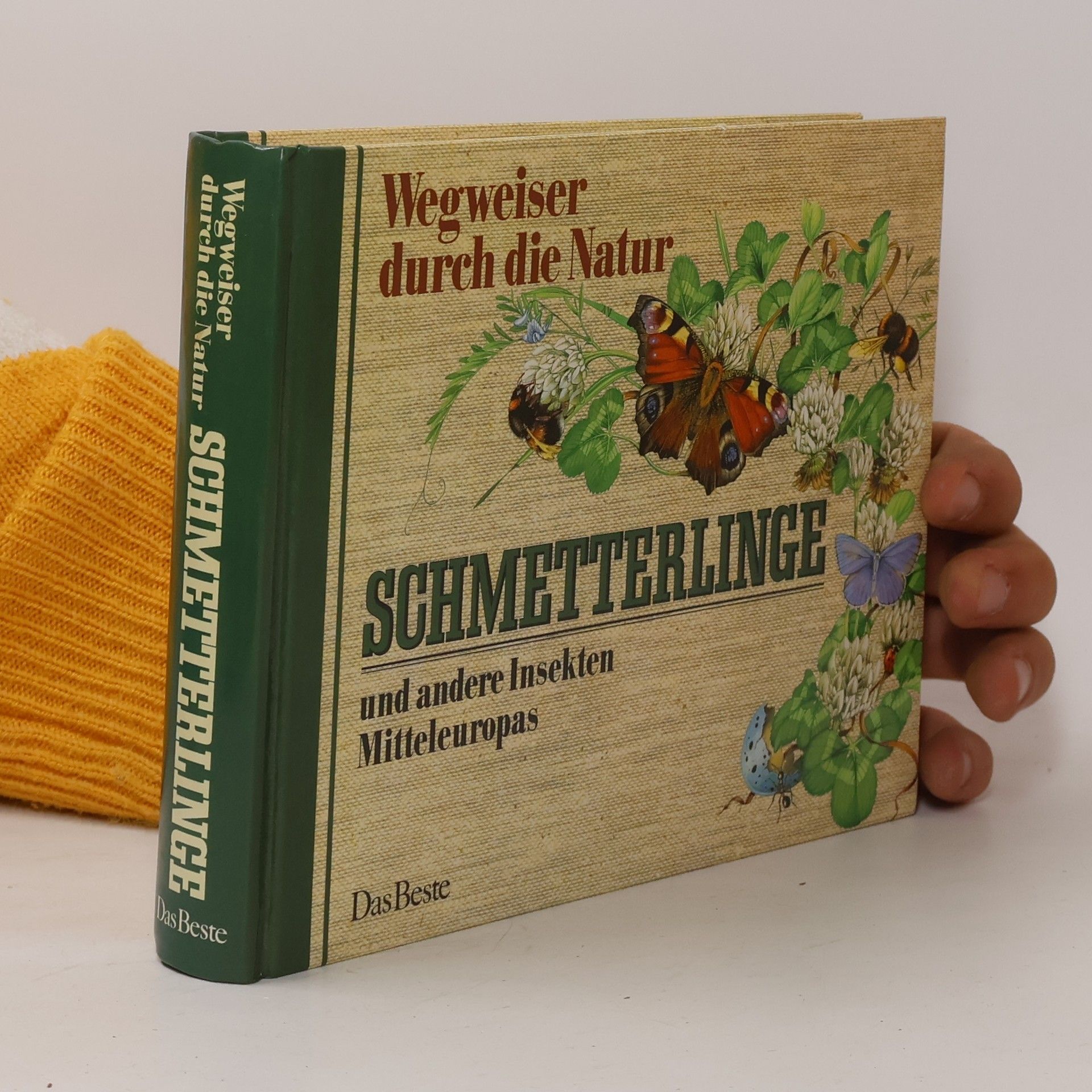 Friedrich Dieterlen Wegweiser durch die Natur: Schmetterlinge und andere Insekten Mitteleuropas