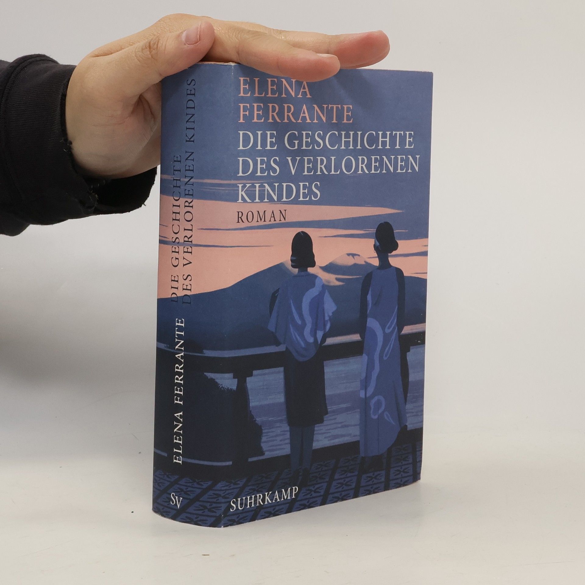 Elena Ferrante Die Geschichte Des Verlorenen Kindes