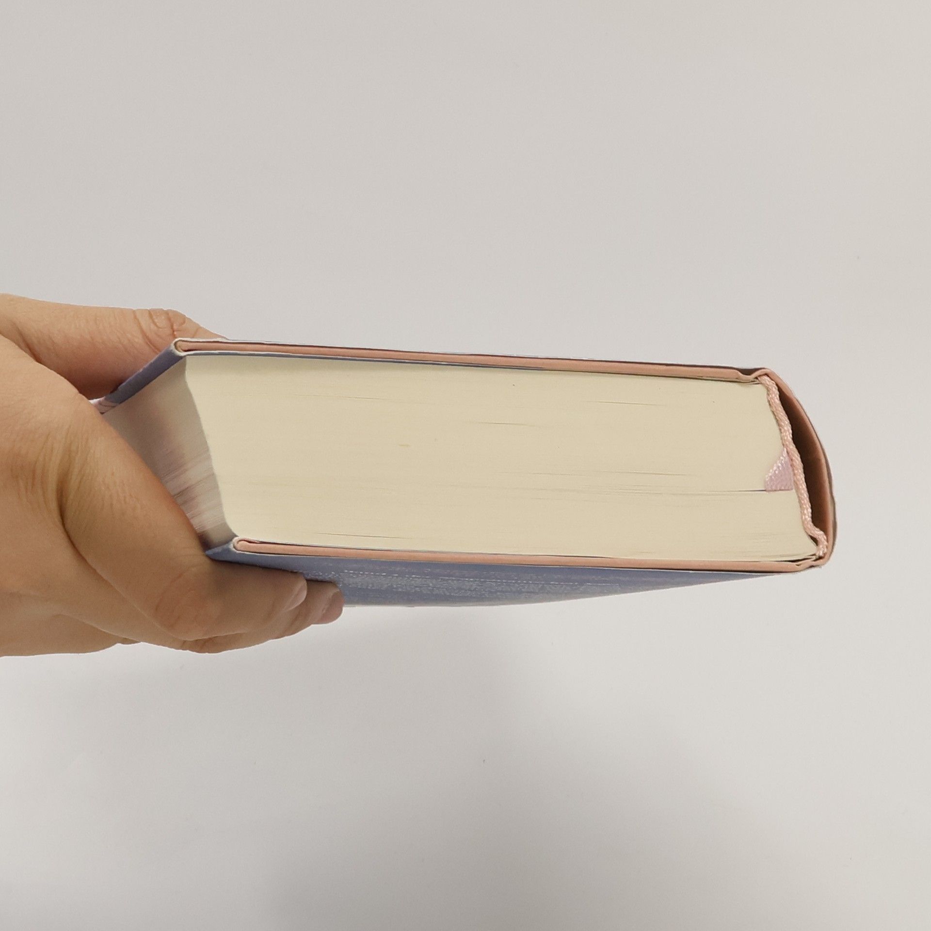 Elena Ferrante Die Geschichte Des Verlorenen Kindes