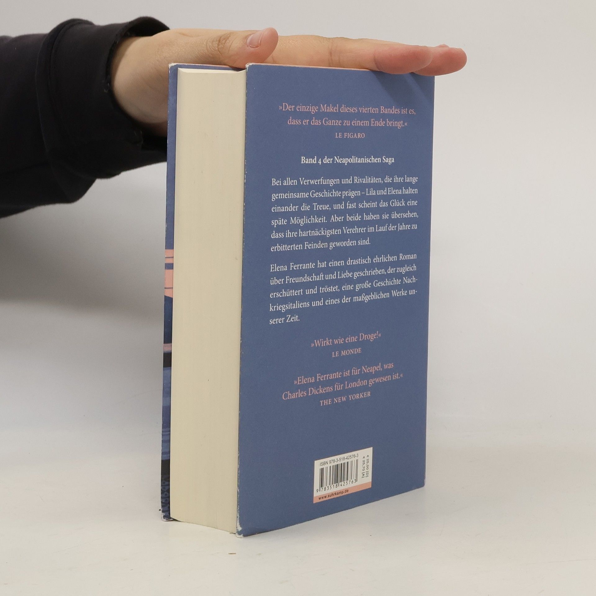Elena Ferrante Die Geschichte Des Verlorenen Kindes