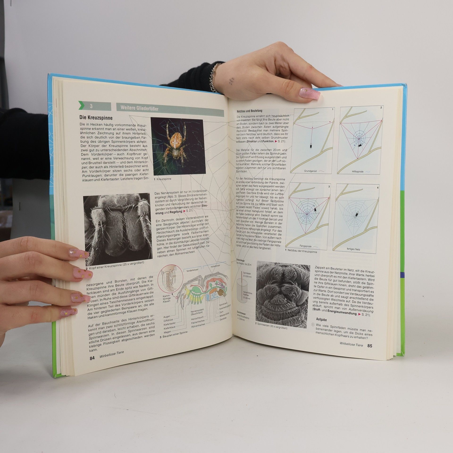 Autorenkollektiv Natura - Biologie für Gymnasien