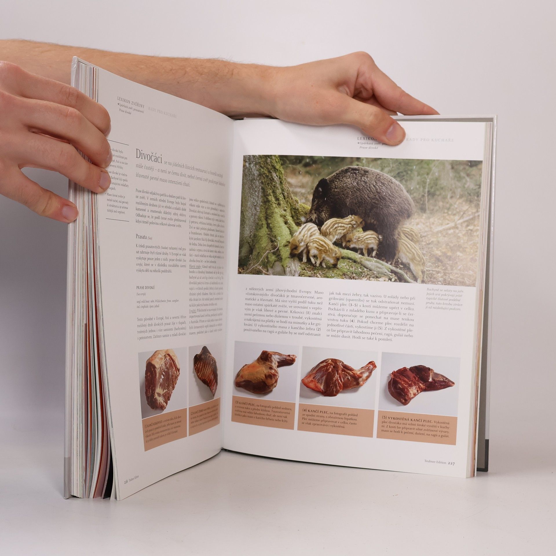 Autorenkollektiv Bible šéfkuchaře: Maso a zvěřina