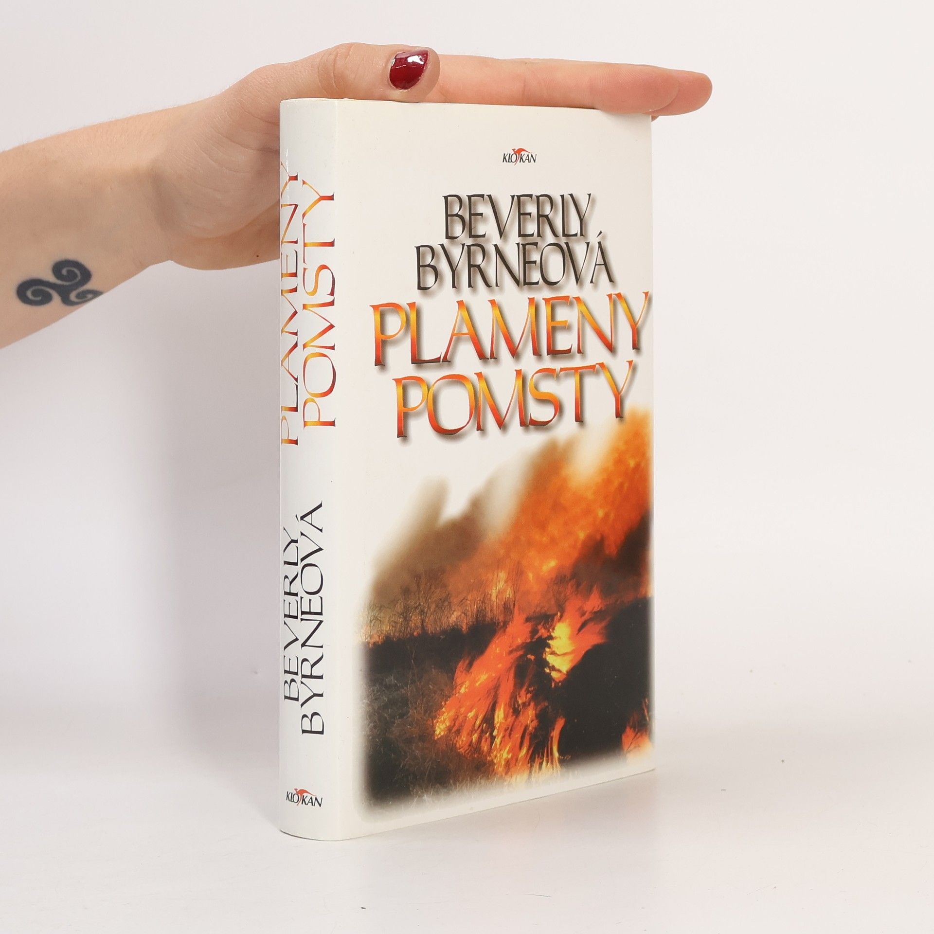 Beverly Byrne Plameny pomsty