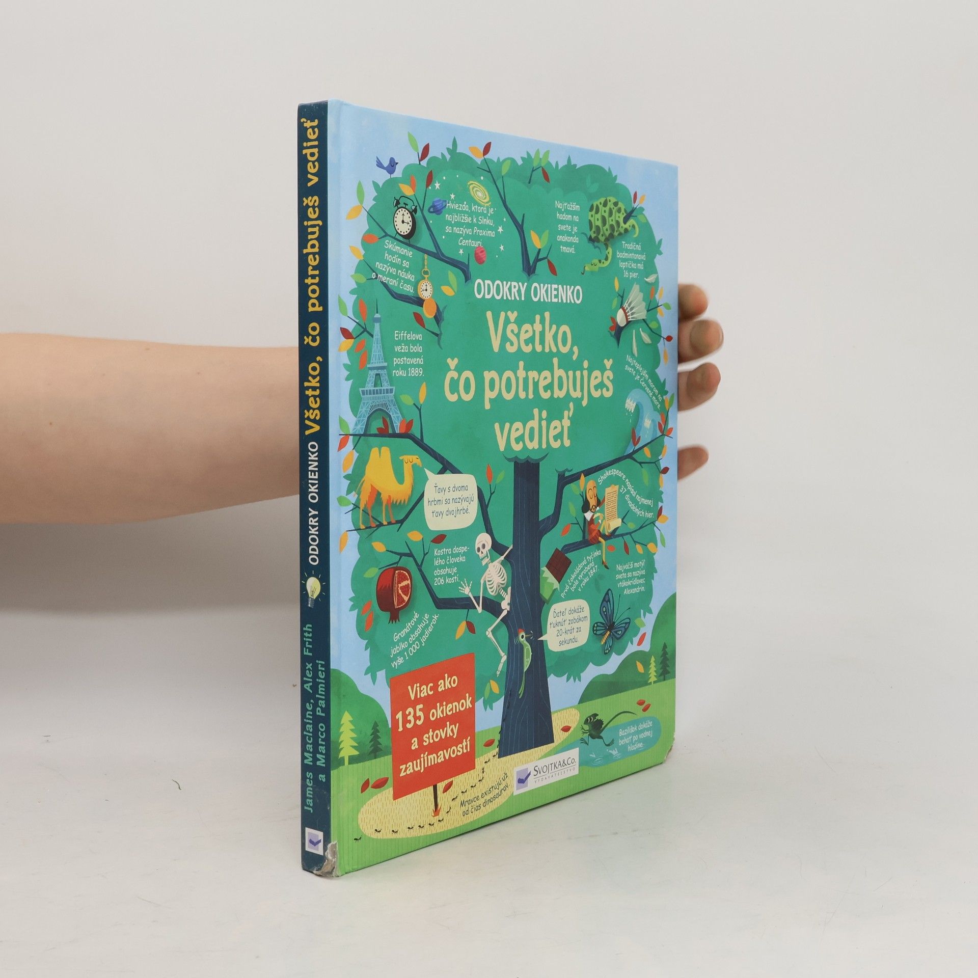 Autorenkollektiv Všetko, čo potrebuješ vedieť Odokry okienko