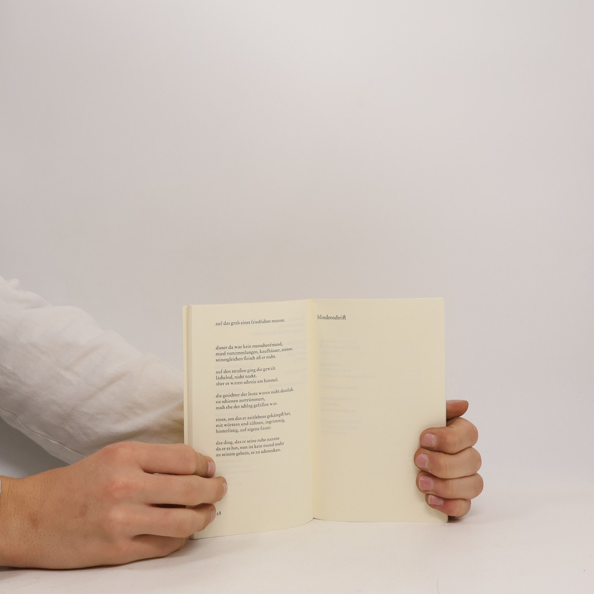 Hans Magnus Enzensberger Blindenschrift