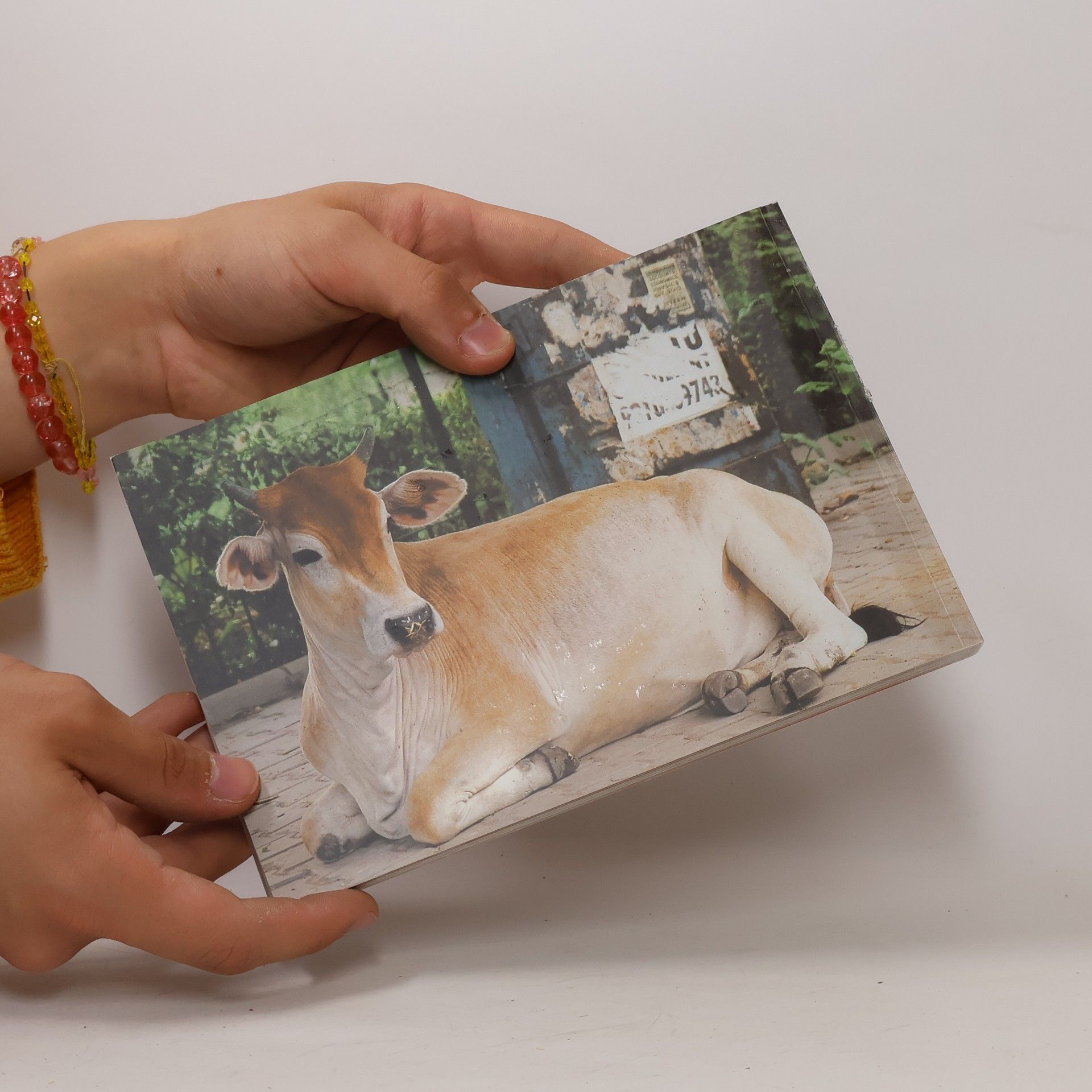Barbara von Kannewurff Street Life In Delhi