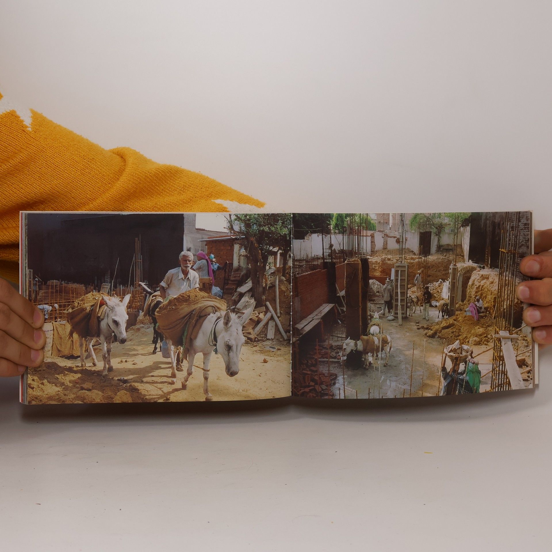 Barbara von Kannewurff Street Life In Delhi