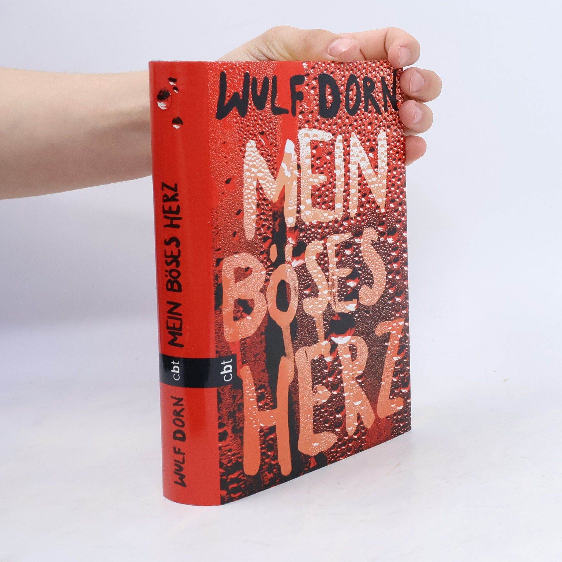 Wulf Dorn Mein böses Herz
