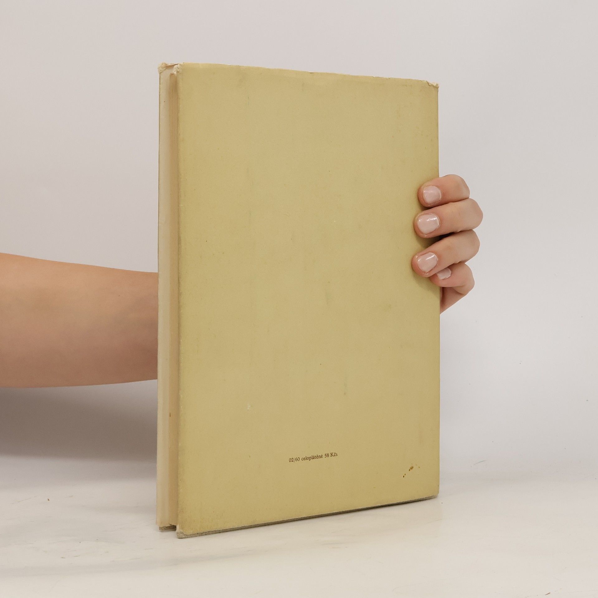 Jan Merell Bible v českých zemích od nejstarších dob do současnsti