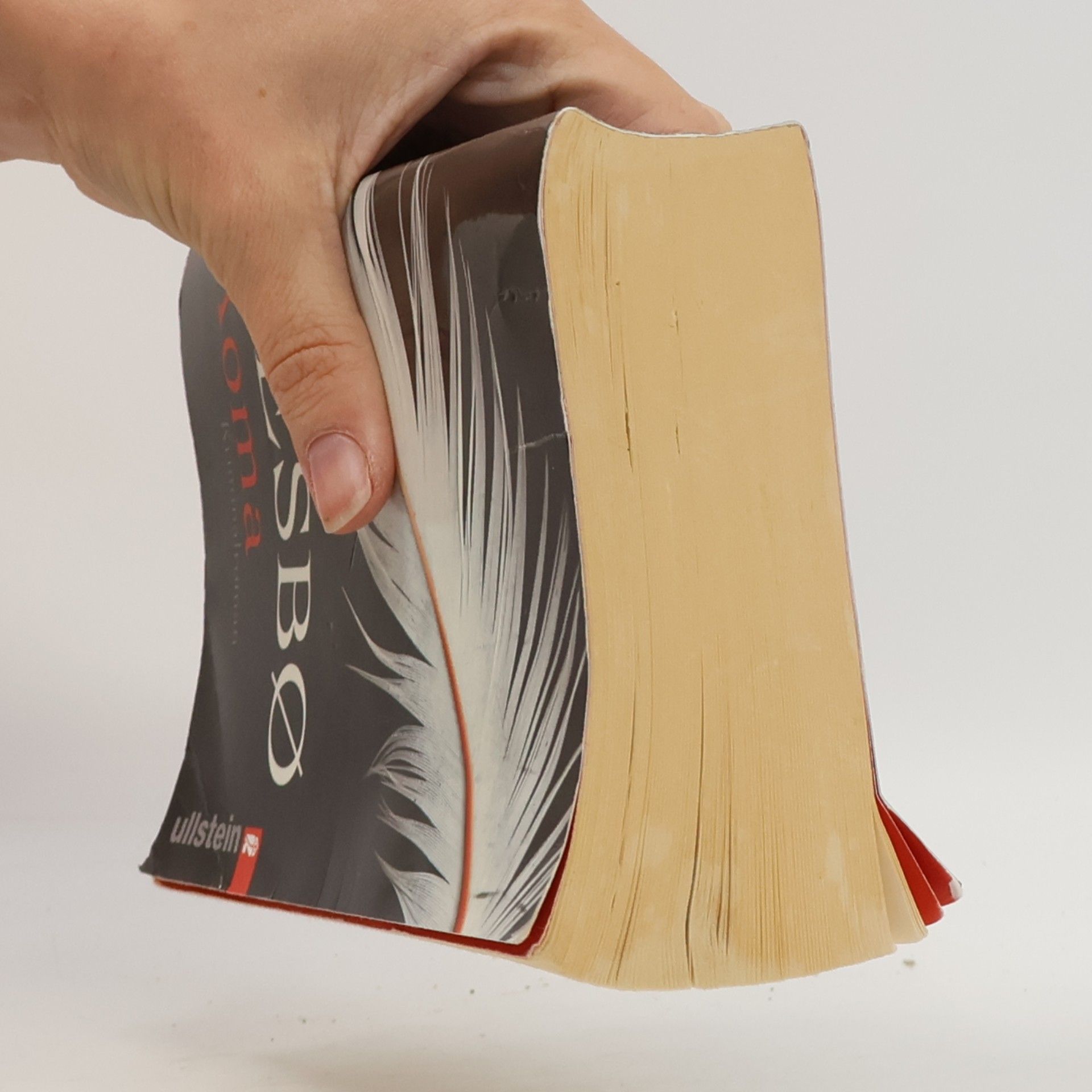 Jo Nesbø Koma
