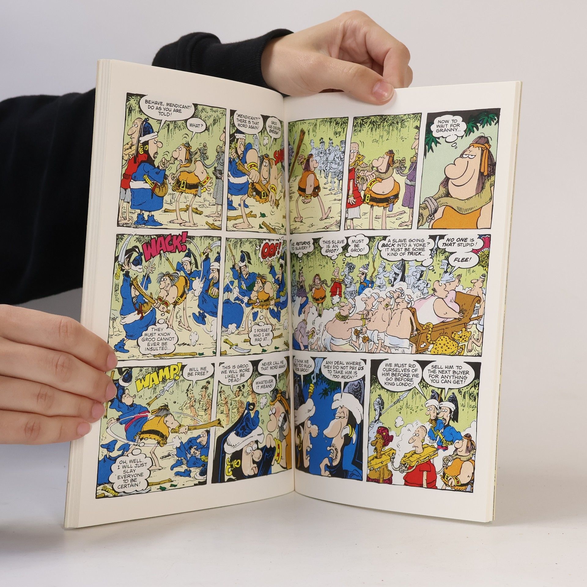 Sergio Aragonés The Groo Kingdom