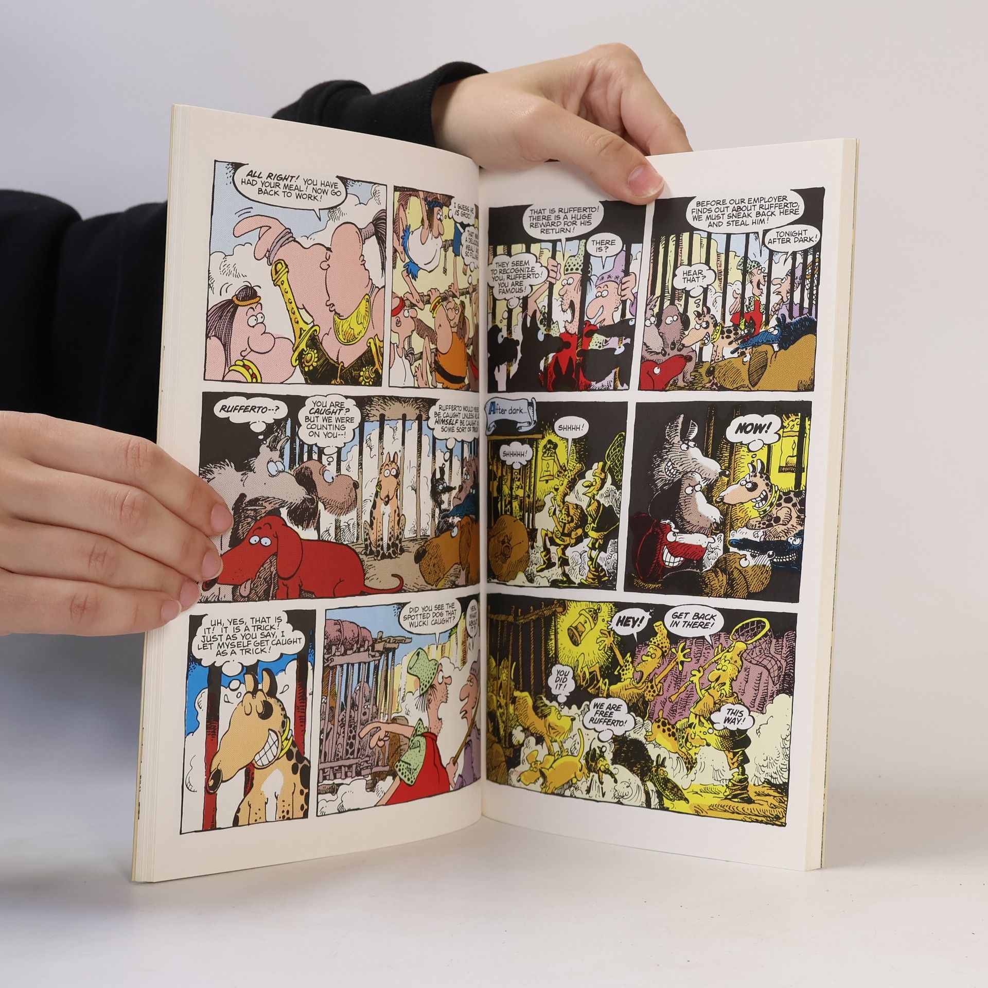 Tom Luth The Groo Library