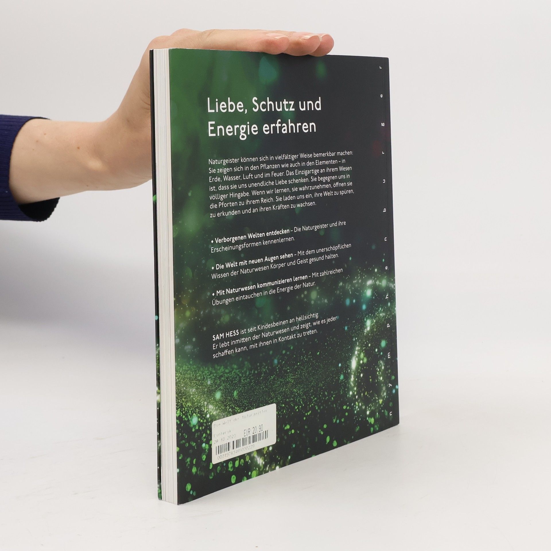 Sam Hess Die Welt der Naturgeister