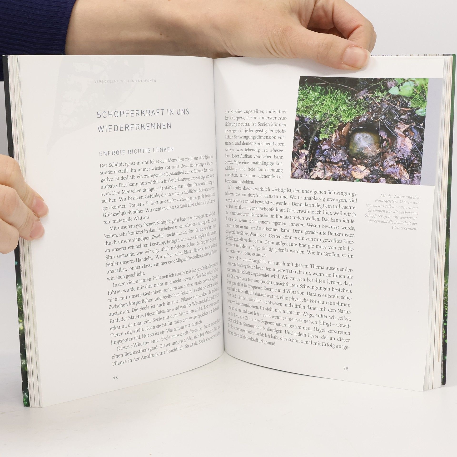 Sam Hess Die Welt der Naturgeister