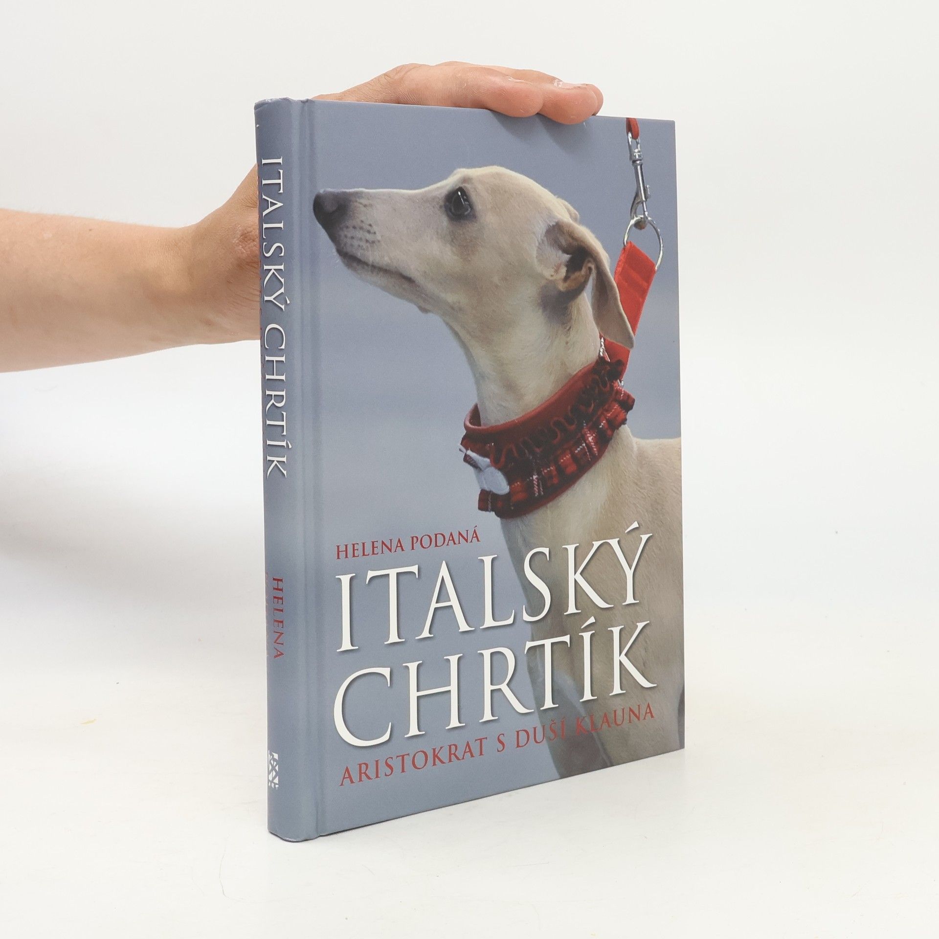 Helena Podaná Italský chrtík - Aristokrat s duší klauna