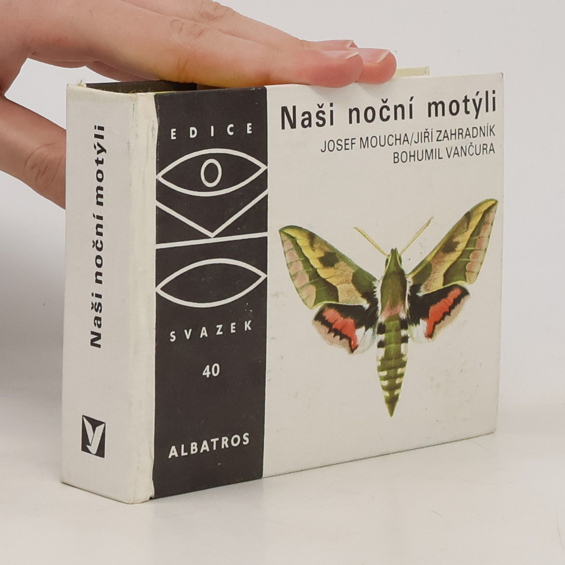 Naši noční motýli