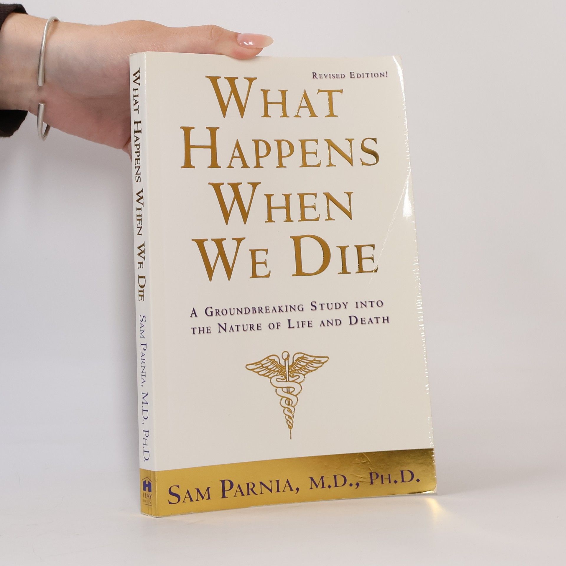 Sam Parnia What Happens When We Die?