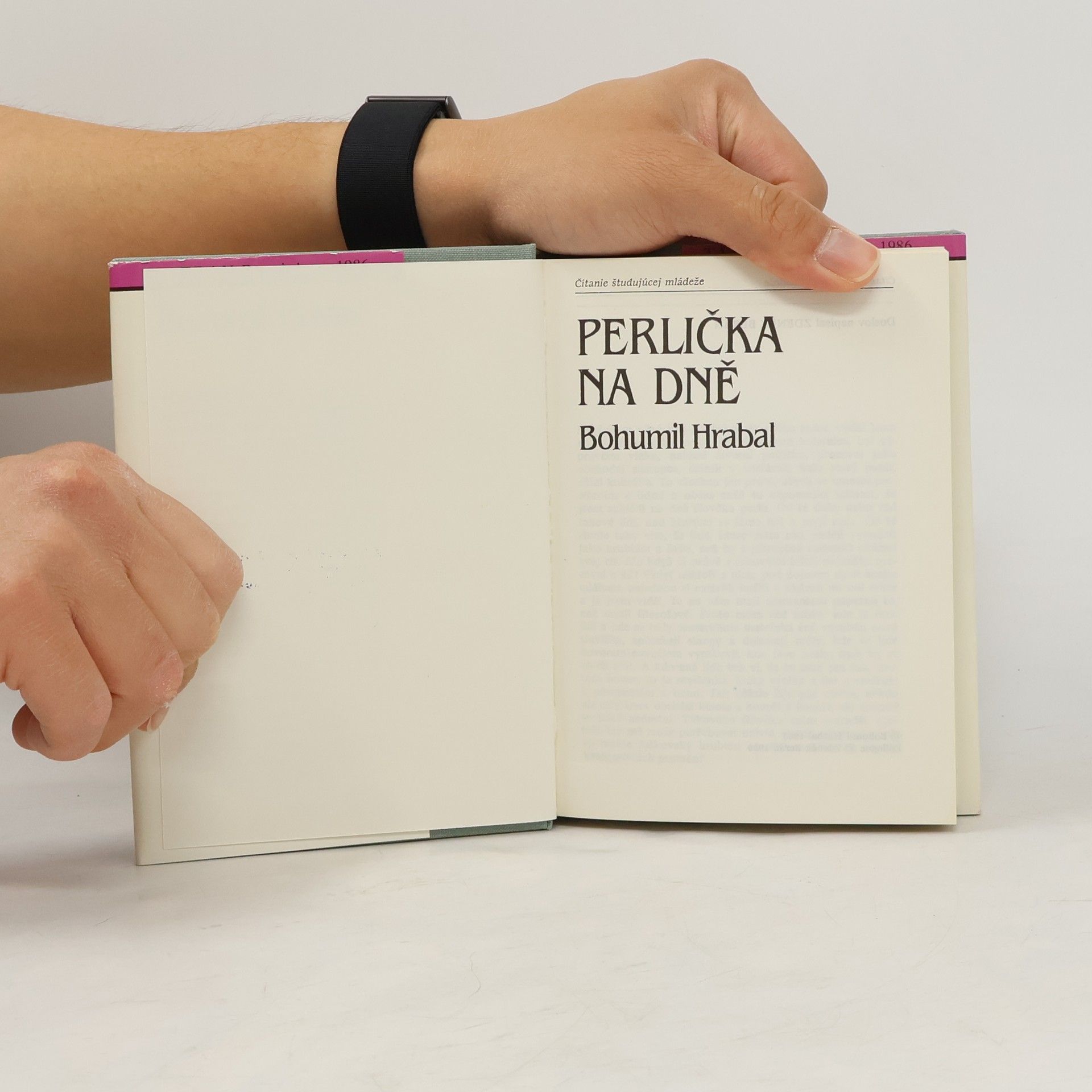 Bohumil Hrabal Perlička na dně