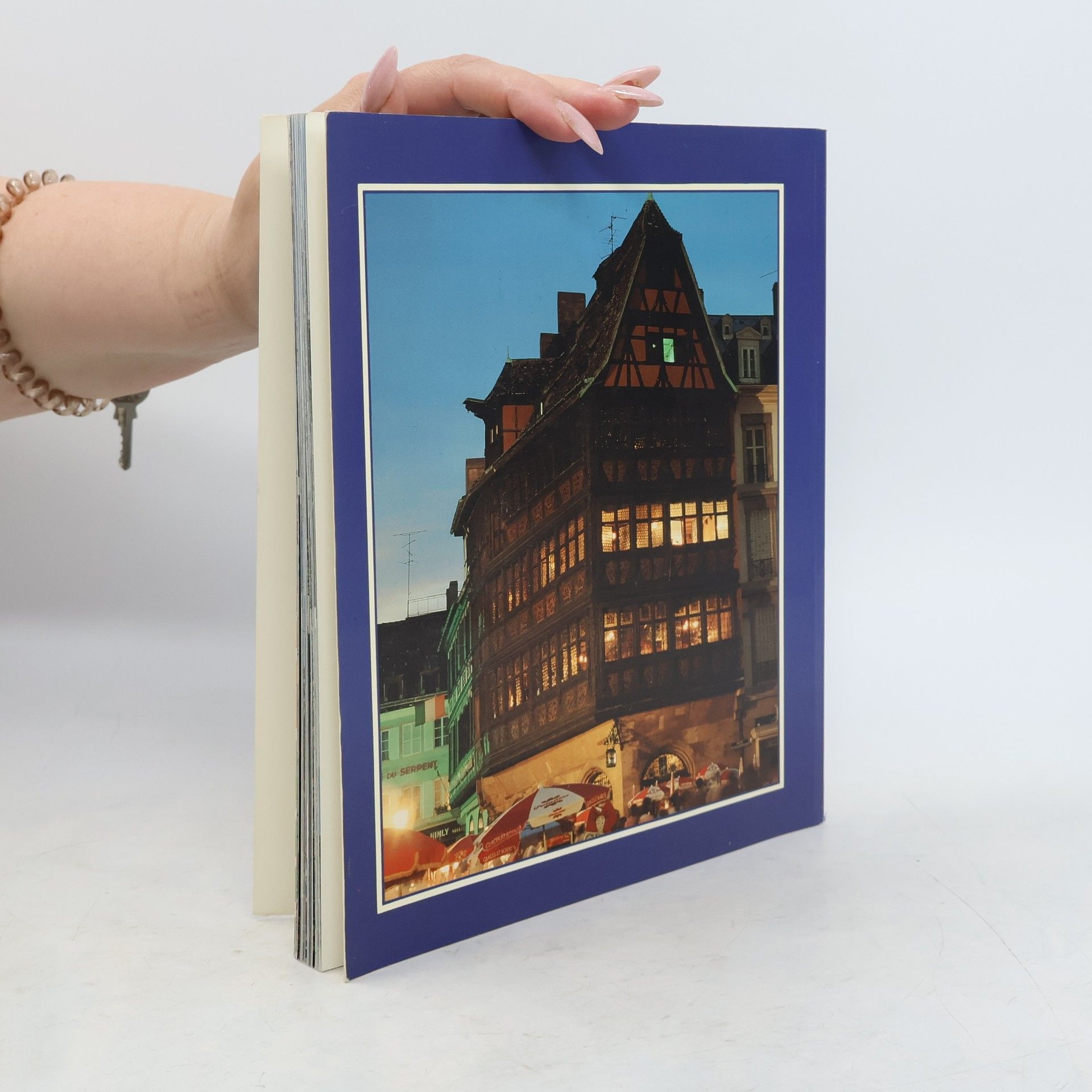 Robert Klingelschmitt Strassburg sehen und verstehen