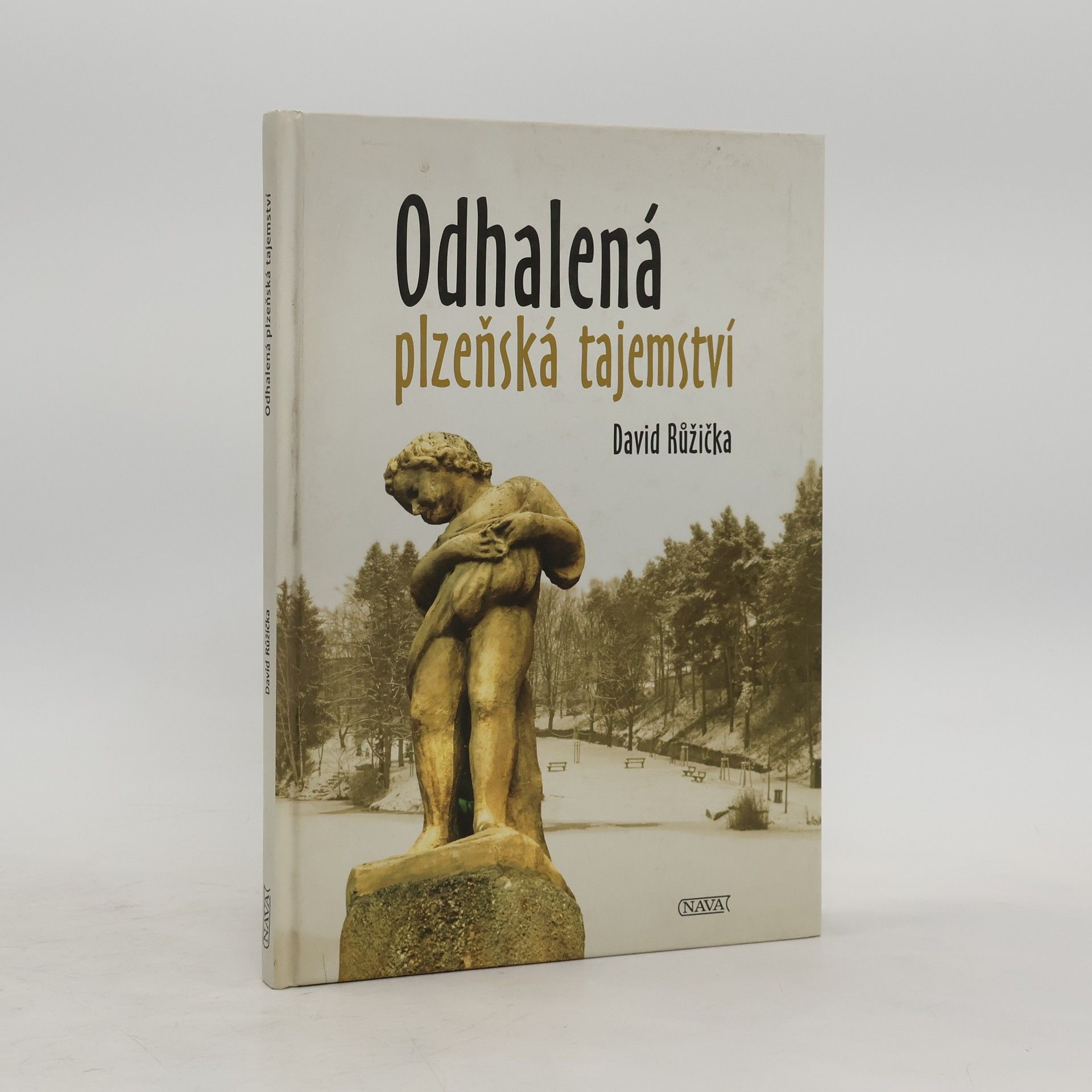 David Růžička Odhalená plzeňská tajemství