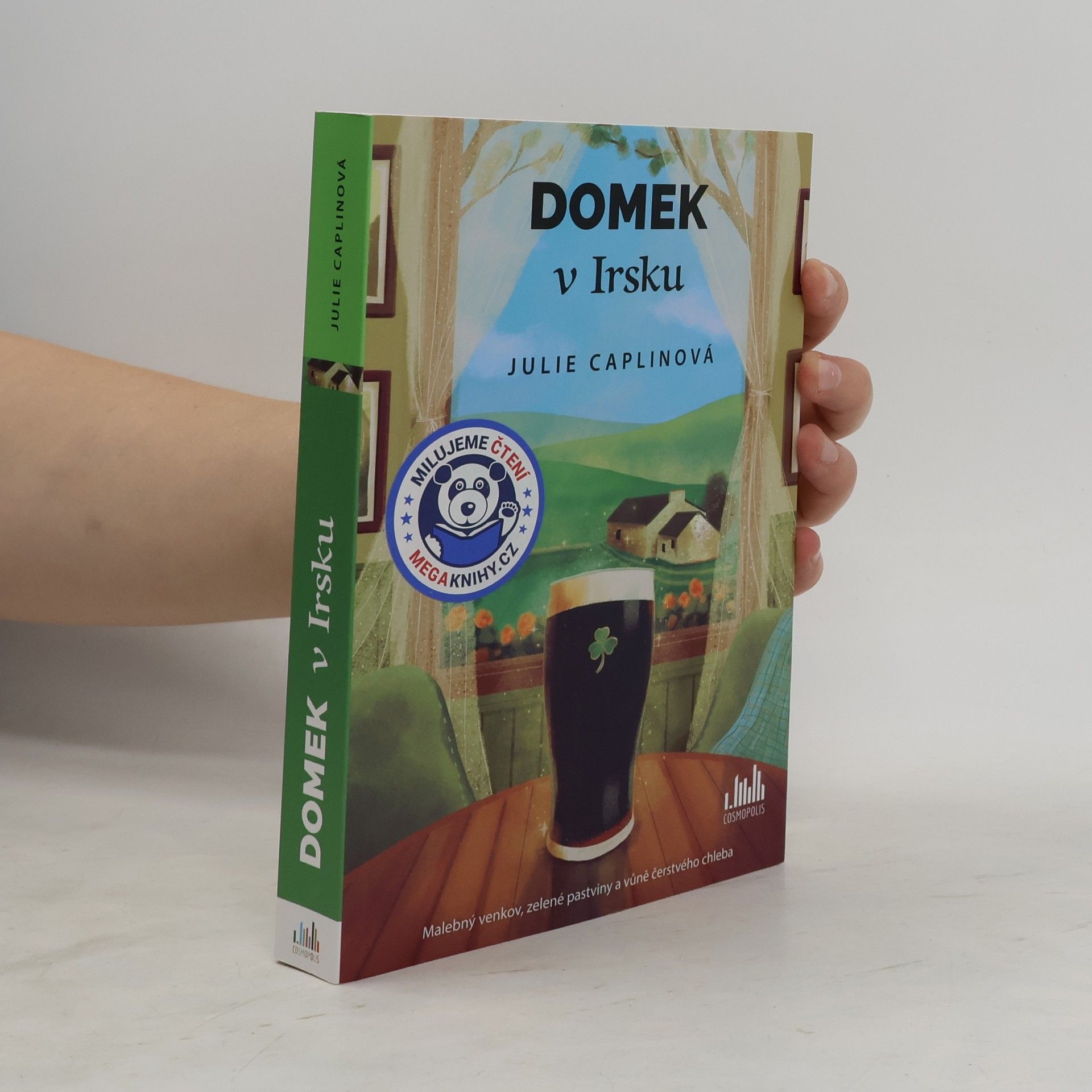 Julie Caplin Domek v Irsku