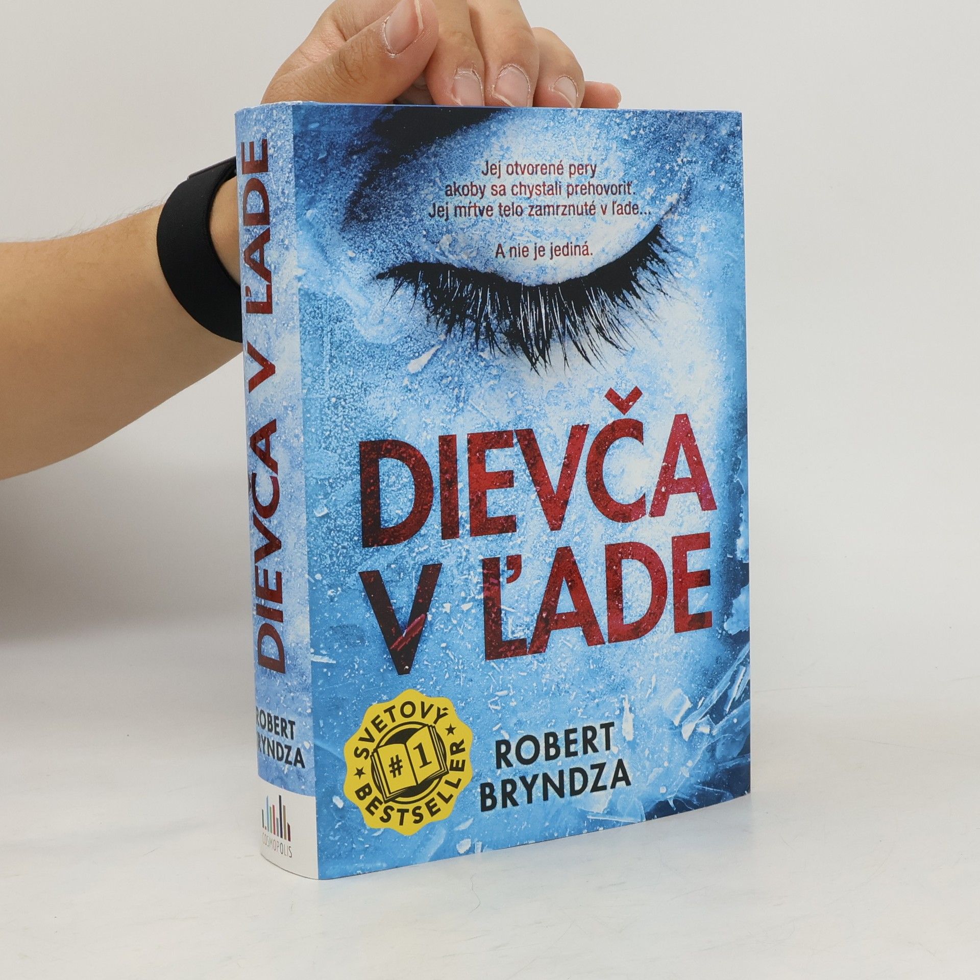 Robert Bryndza Dievča v ľade