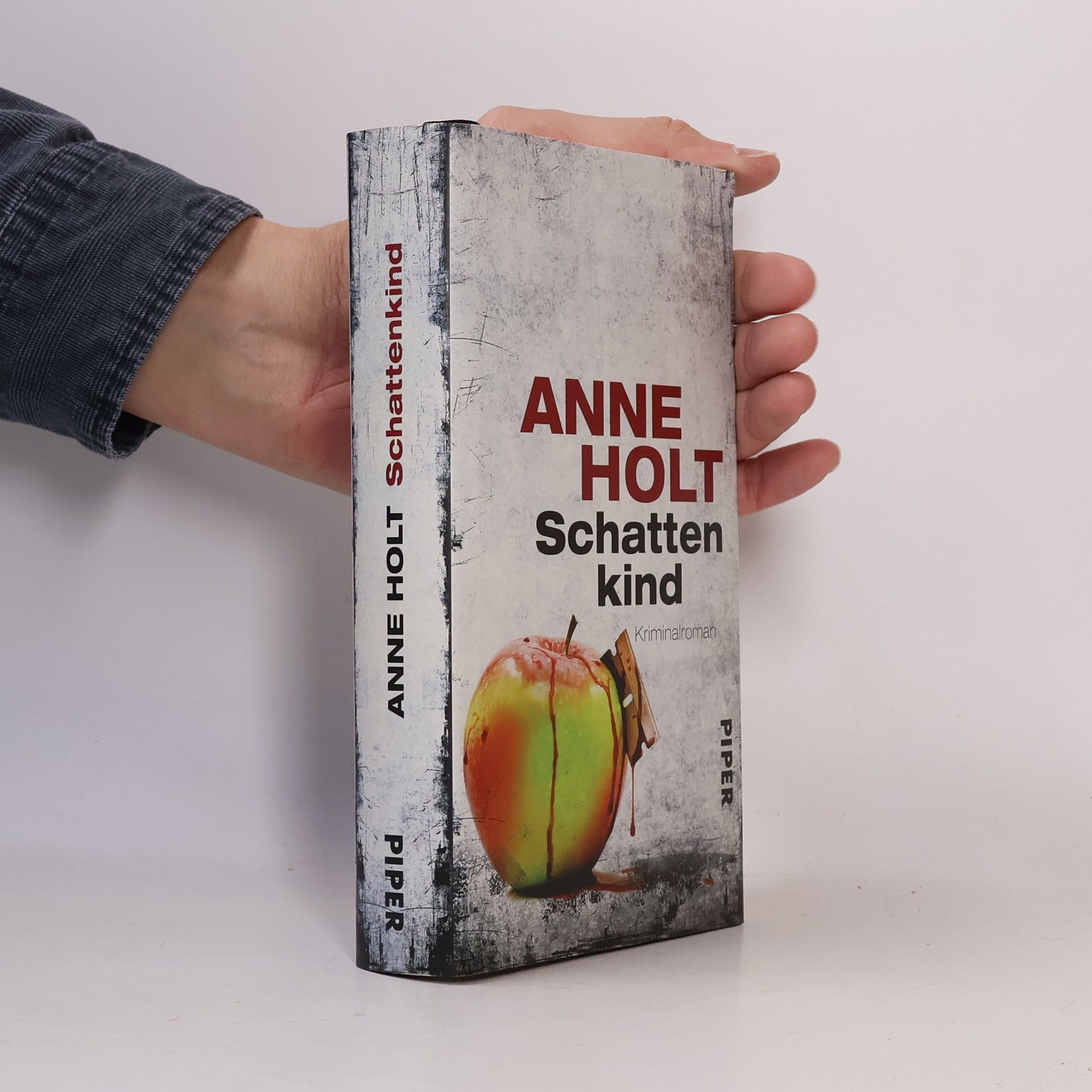 Anne Holt Schattenkind