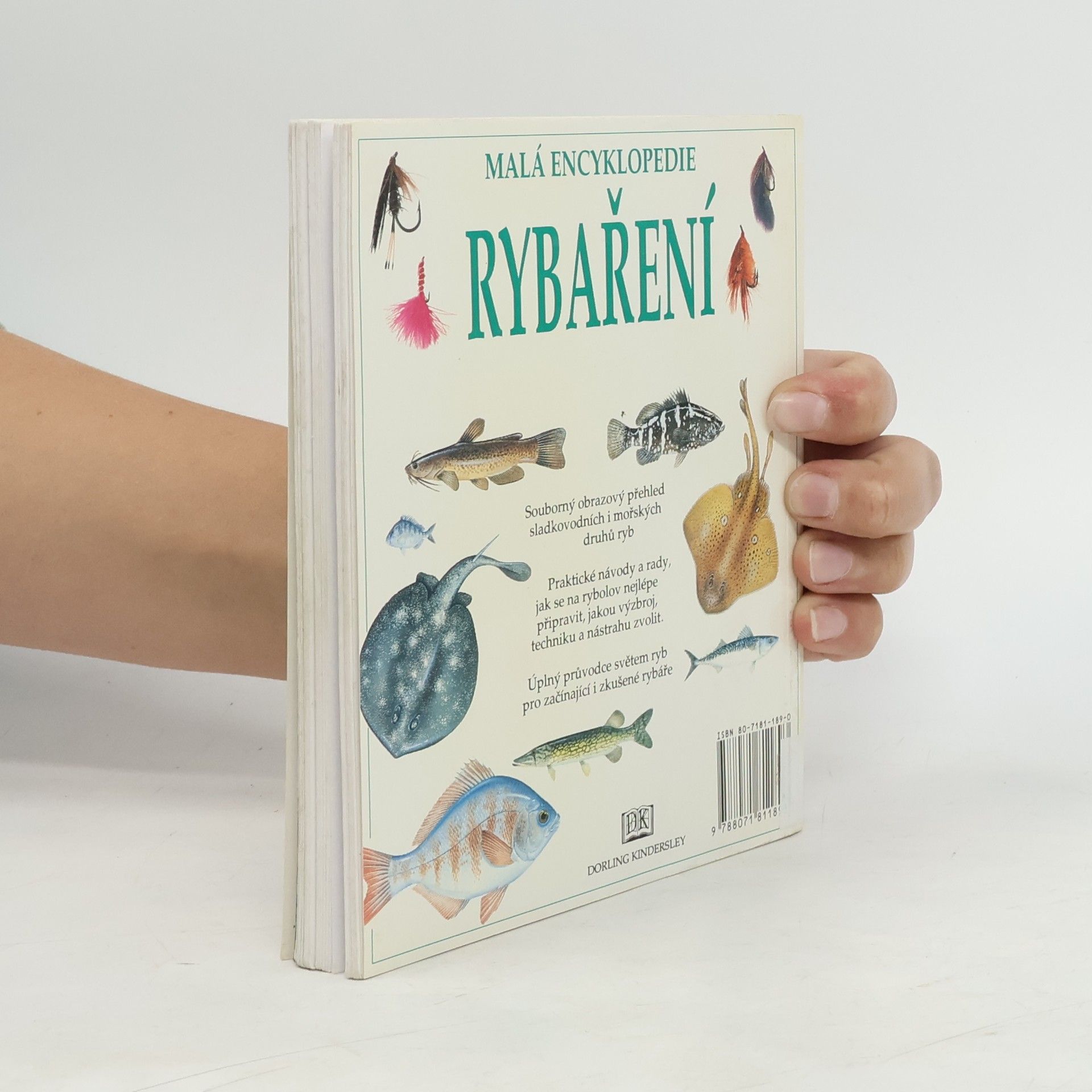 Kolektiv autorů Malá encyklopedie rybaření