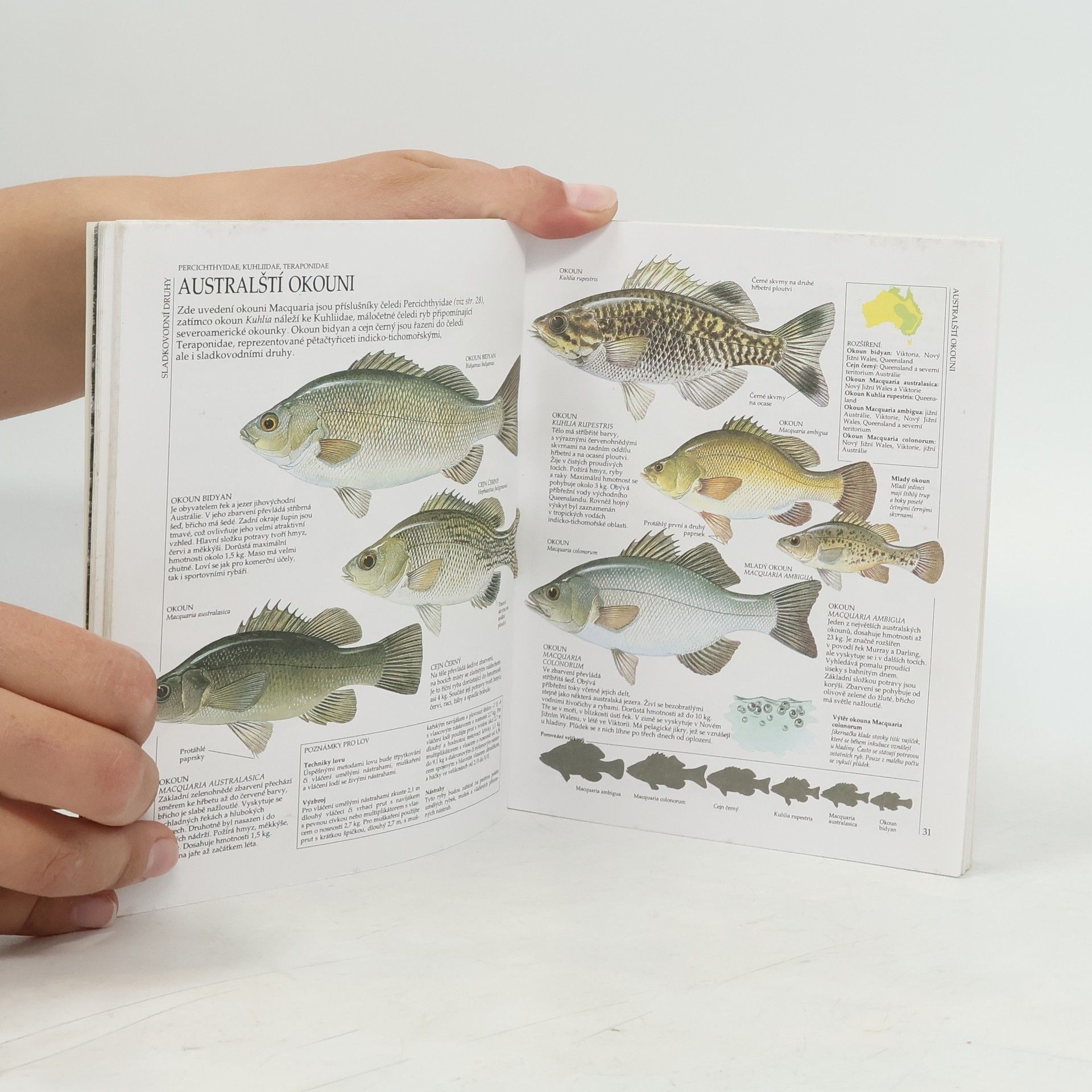 Kolektiv autorů Malá encyklopedie rybaření