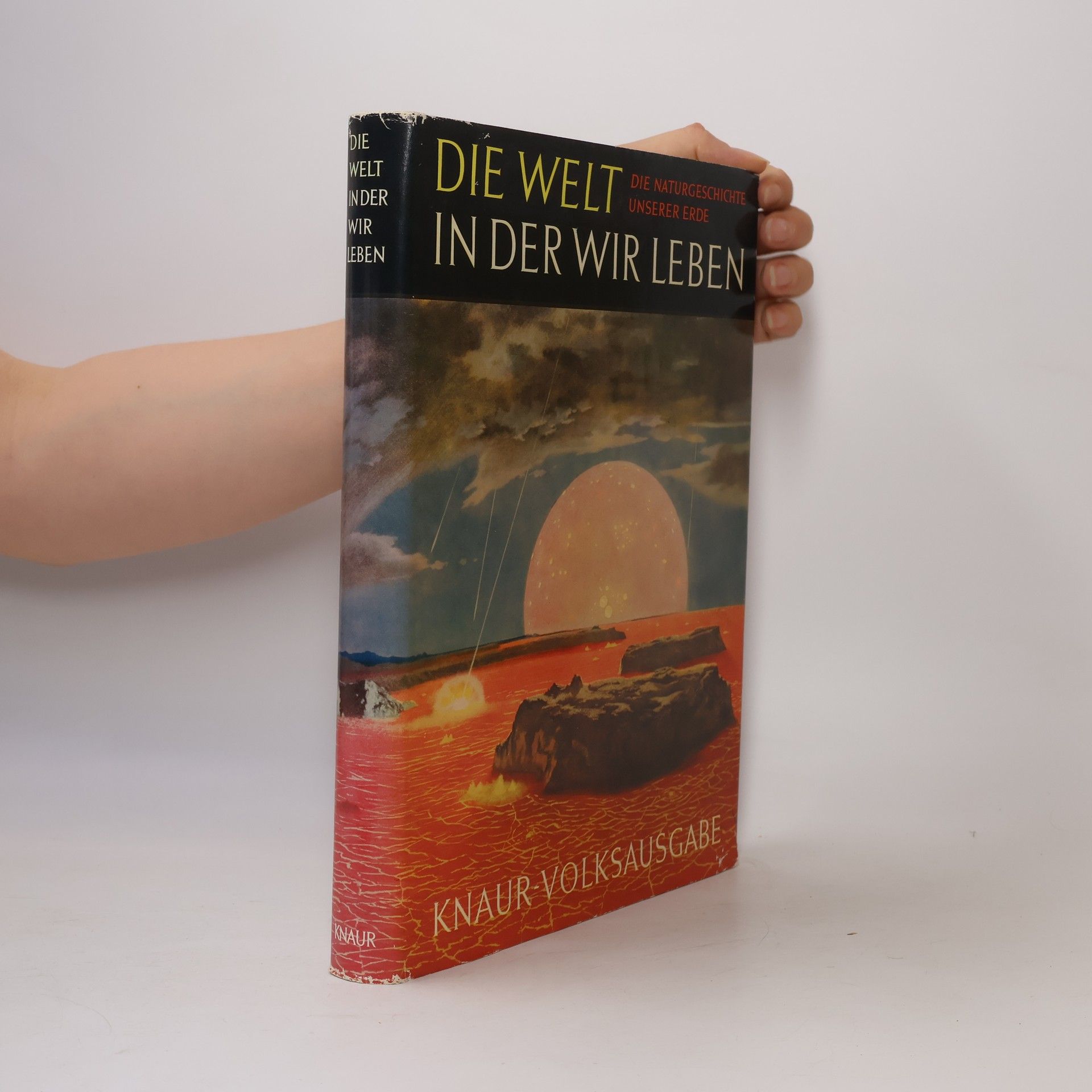 Autorenkollektiv Die Welt in der wir leben