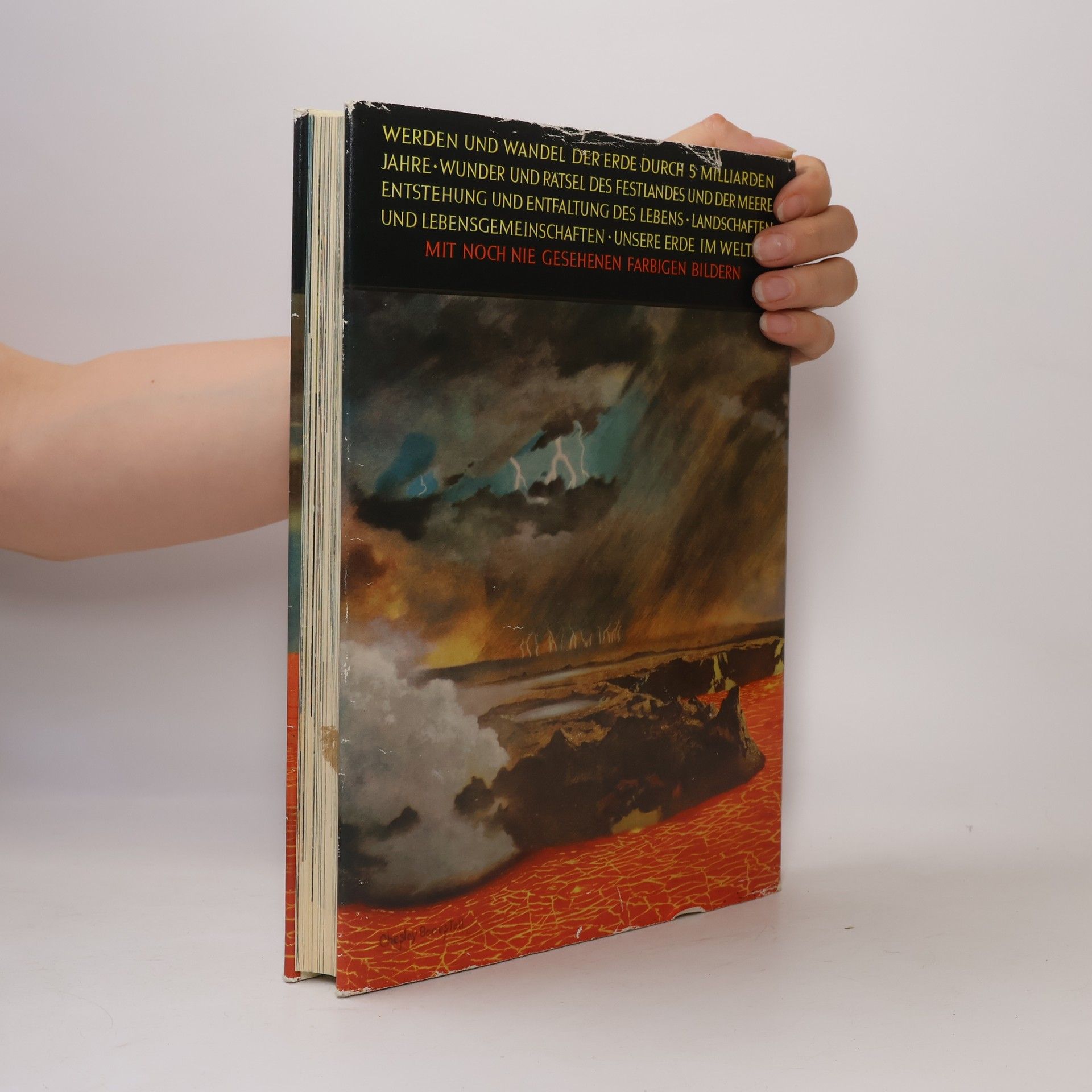 Autores varios Die Welt in der wir leben