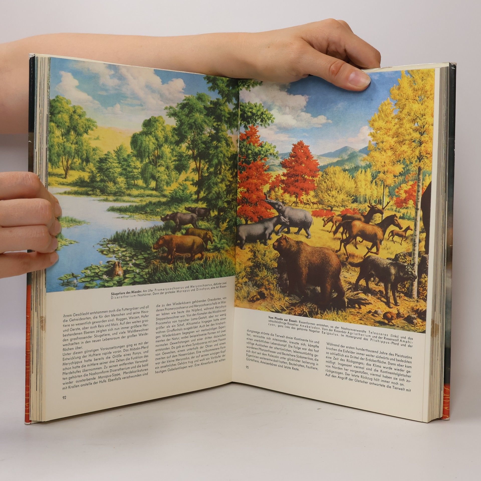 Autores varios Die Welt in der wir leben