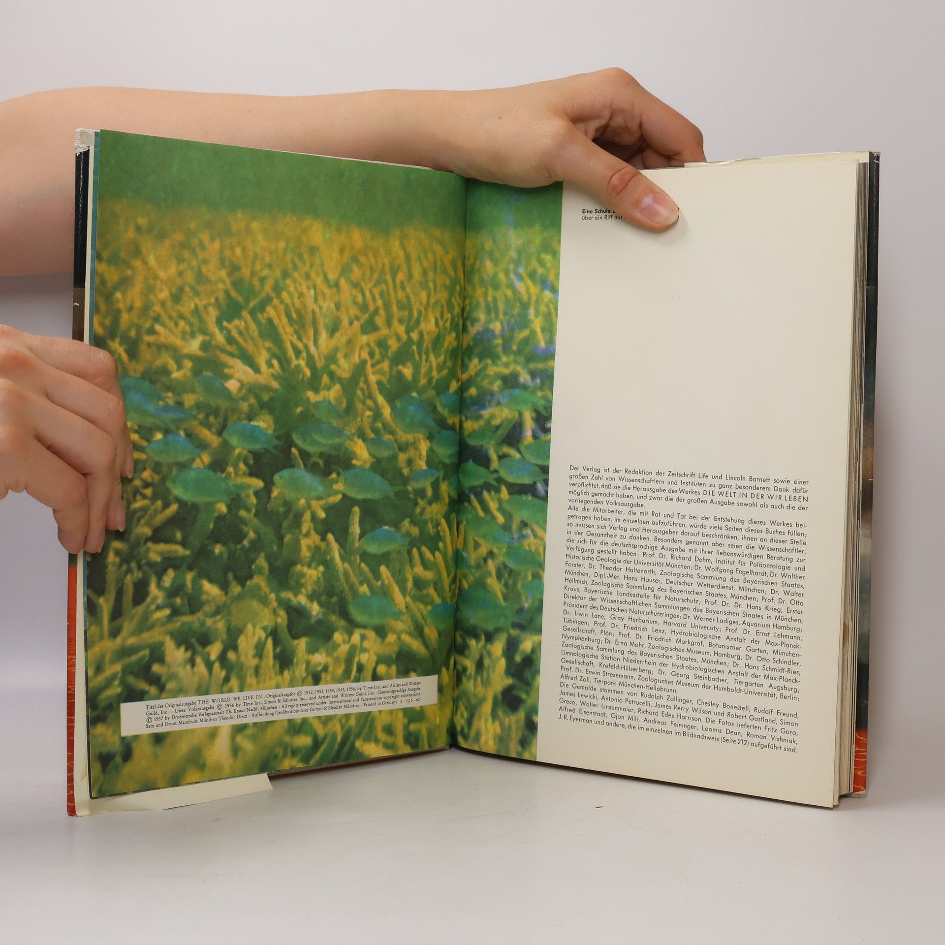 Autores varios Die Welt in der wir leben