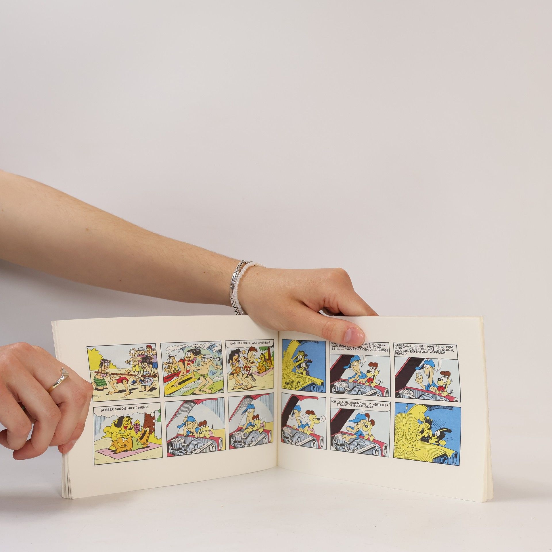 Jim Davis Garfield im Paradies