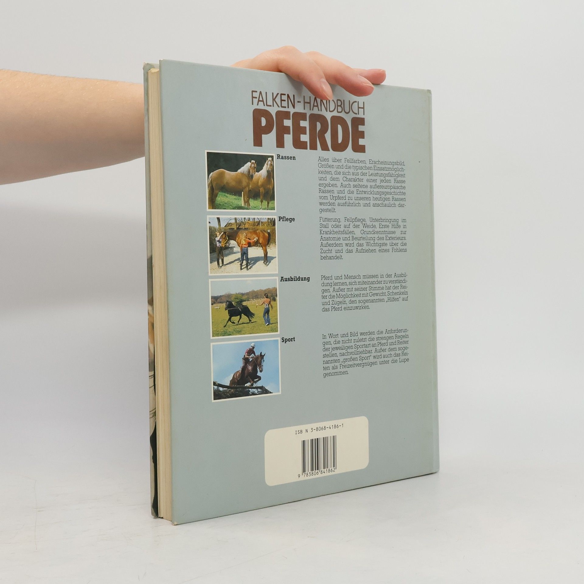 Heidrun Werner Pferde