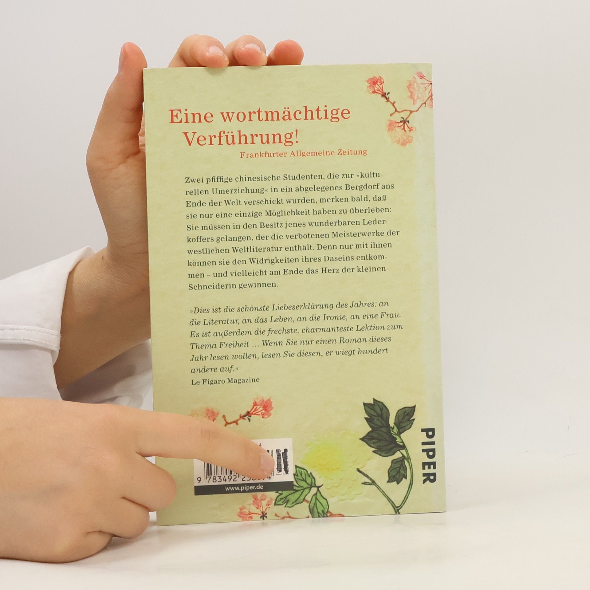 Dai Sijie Balzac und die kleine chinesische Schneiderin