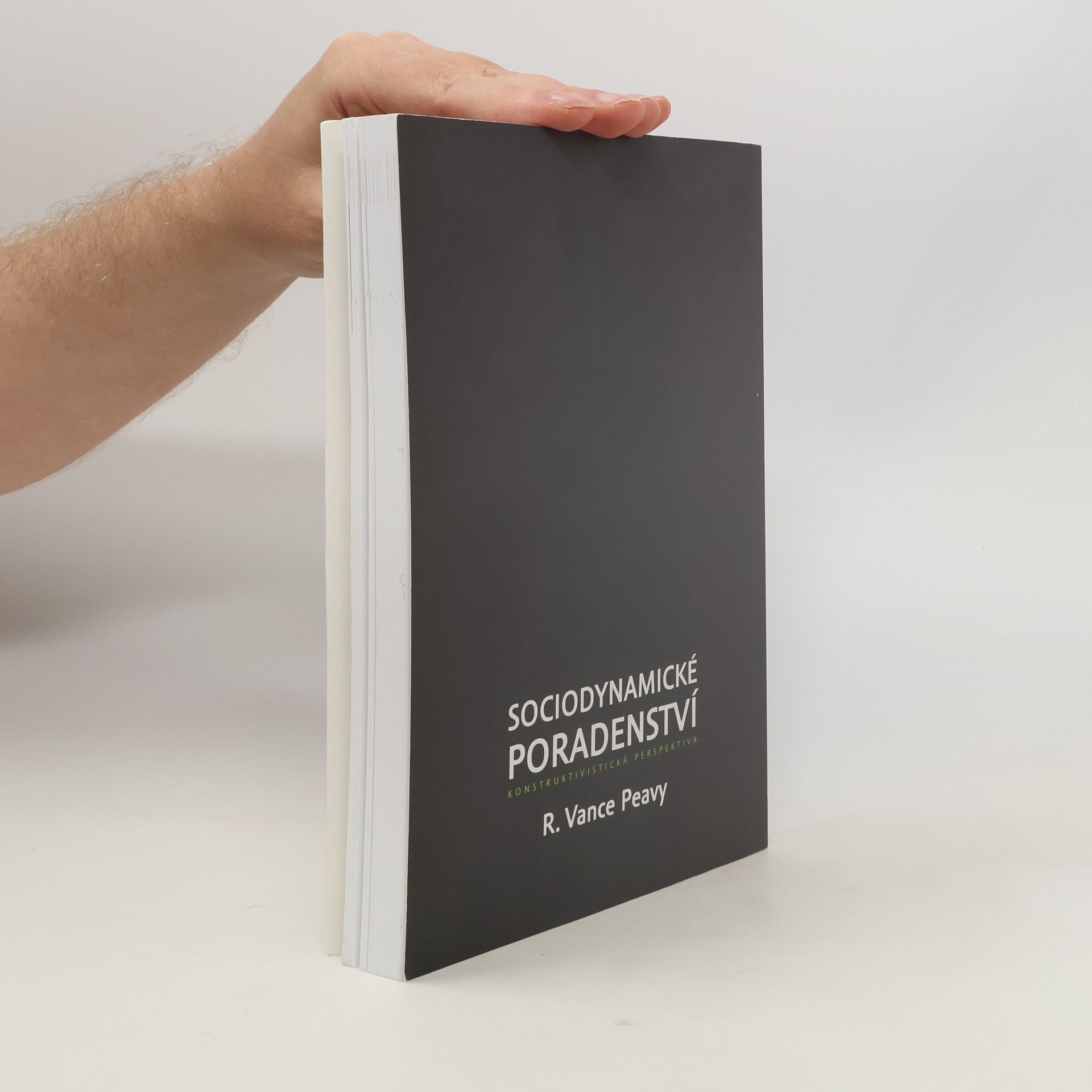 R. Vance Peavy Sociodynamické poradenství : konstruktivistická perspektiva