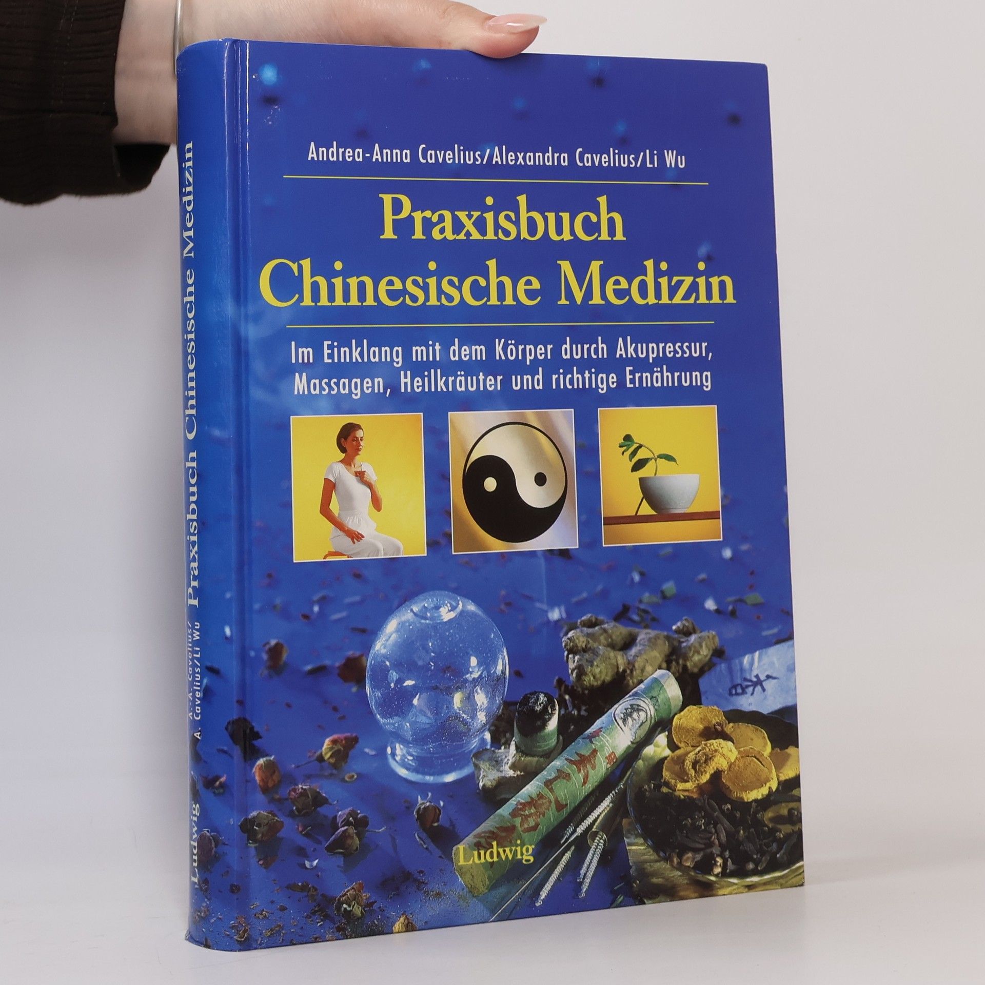 Andrea-Anna Cavelius Praxisbuch chinesische Medizin
