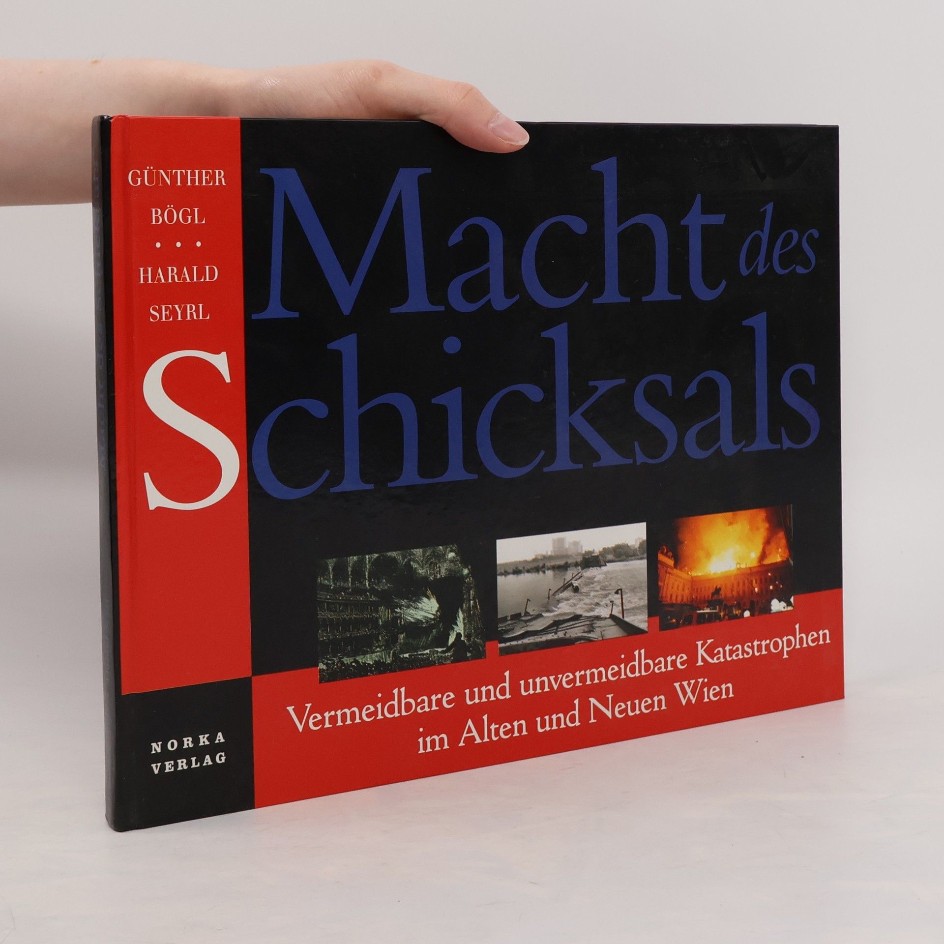 Günther Bögl Macht des Schicksals