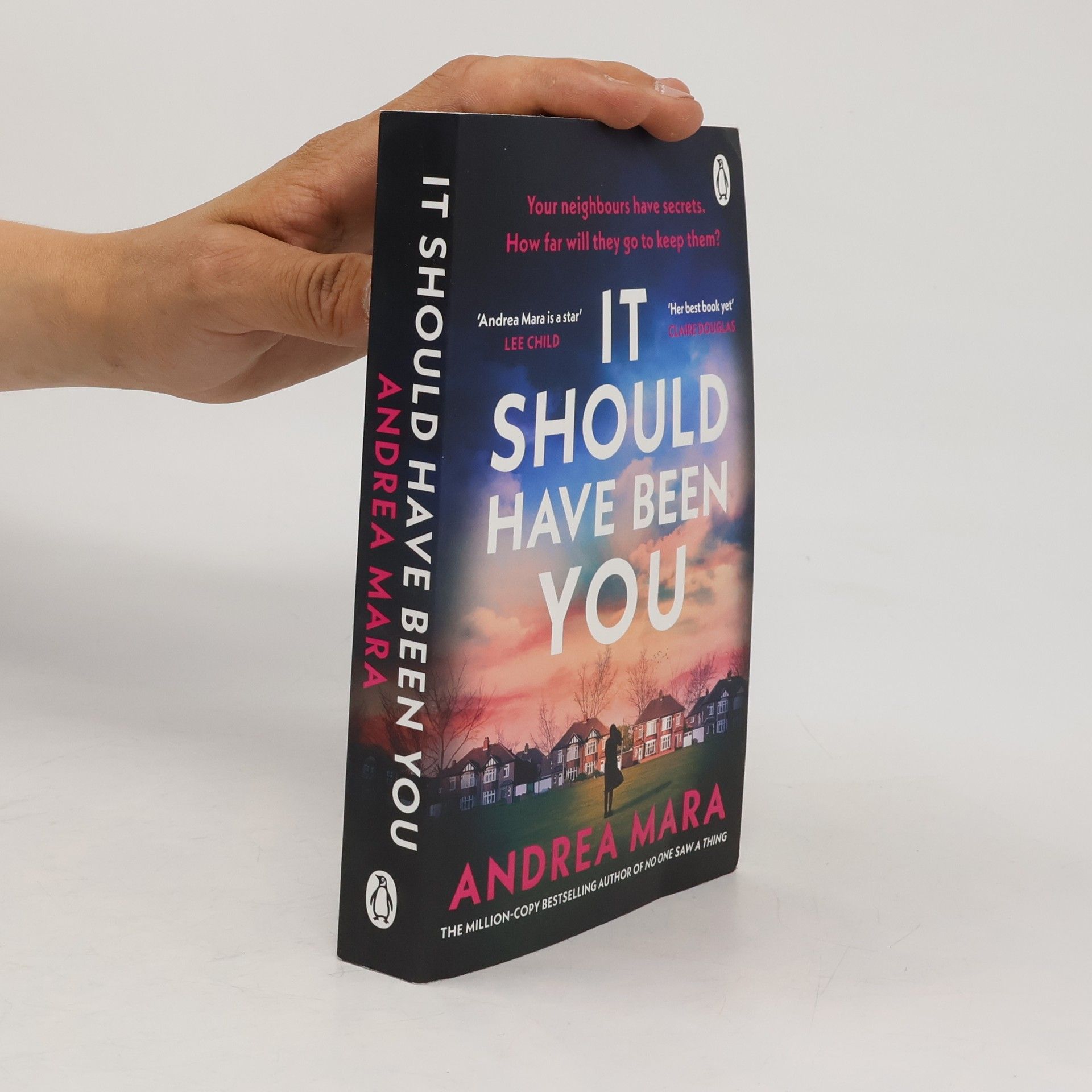 It Should Have Been You: The Irish Book Awards Crime Novel of the Year from the million-copy bestselling author of No One Saw a Thing